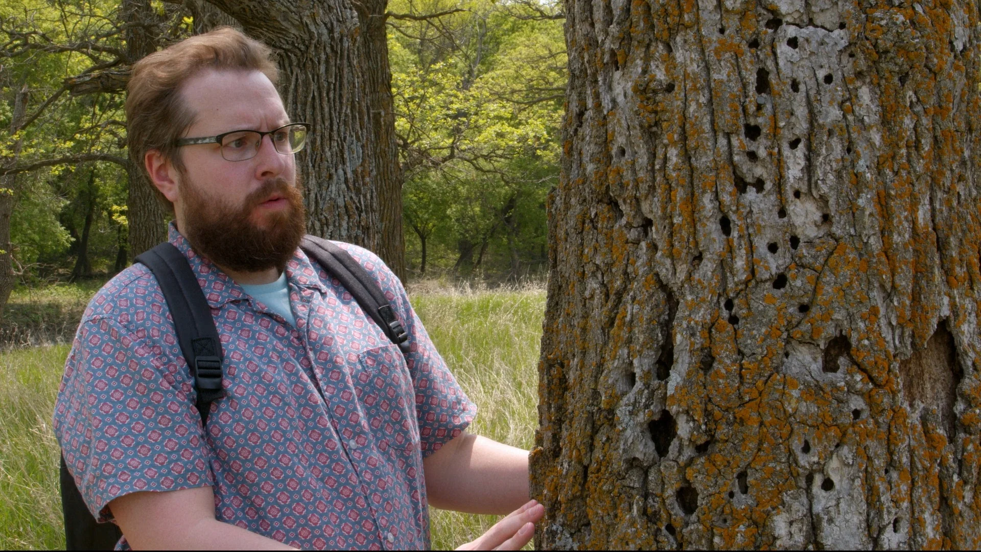 AJ Goes to the Dog Park - Image 9