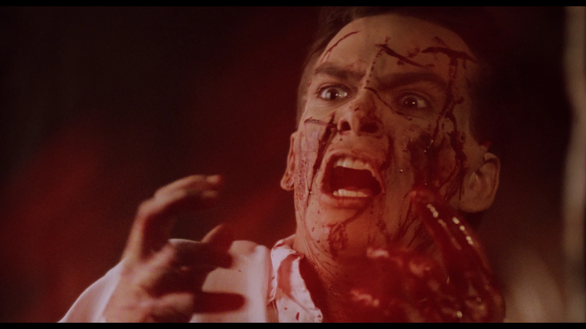 Amityville: The Cursed Collection - Image 13