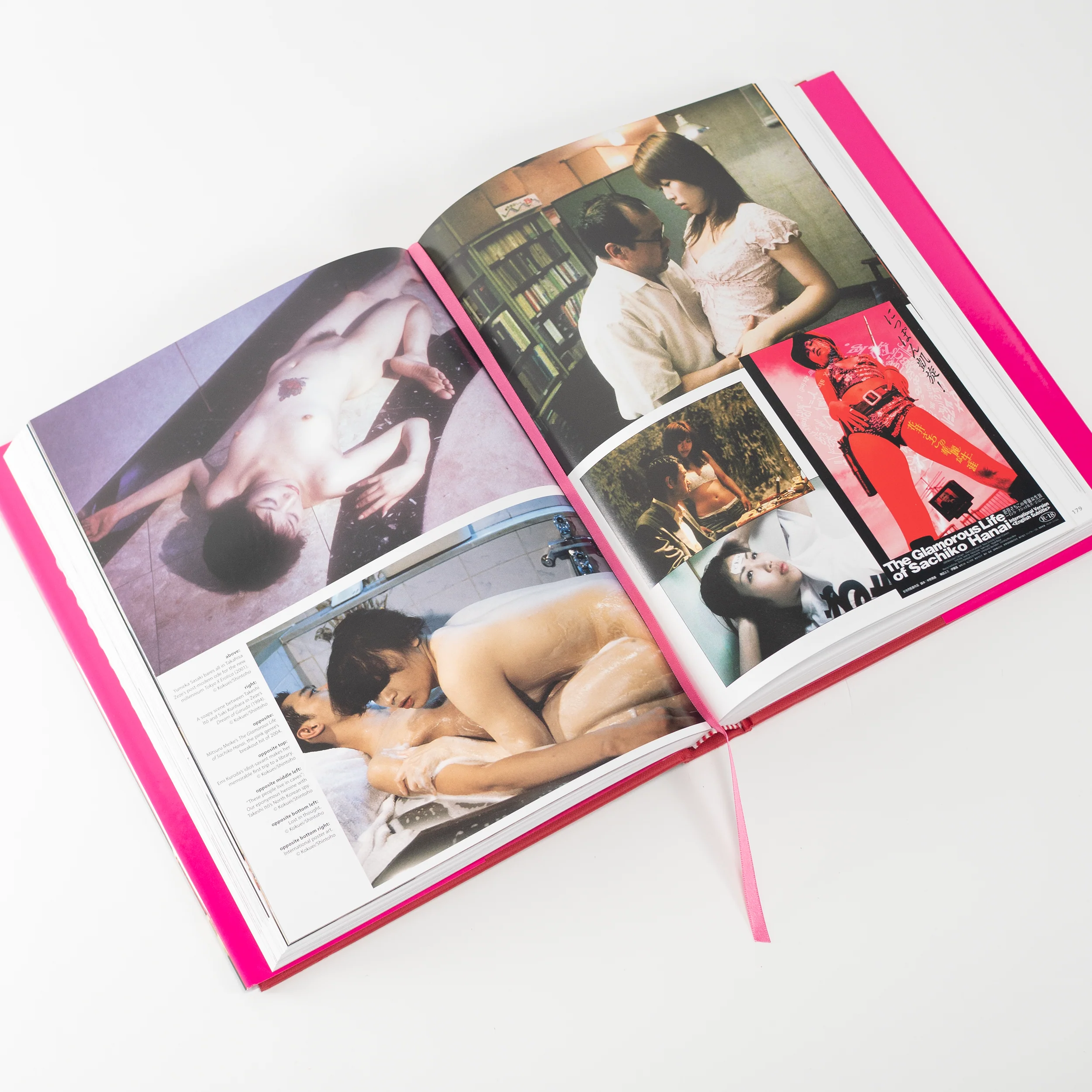 Behind the Pink Curtain - Hardcover Book - Image 4