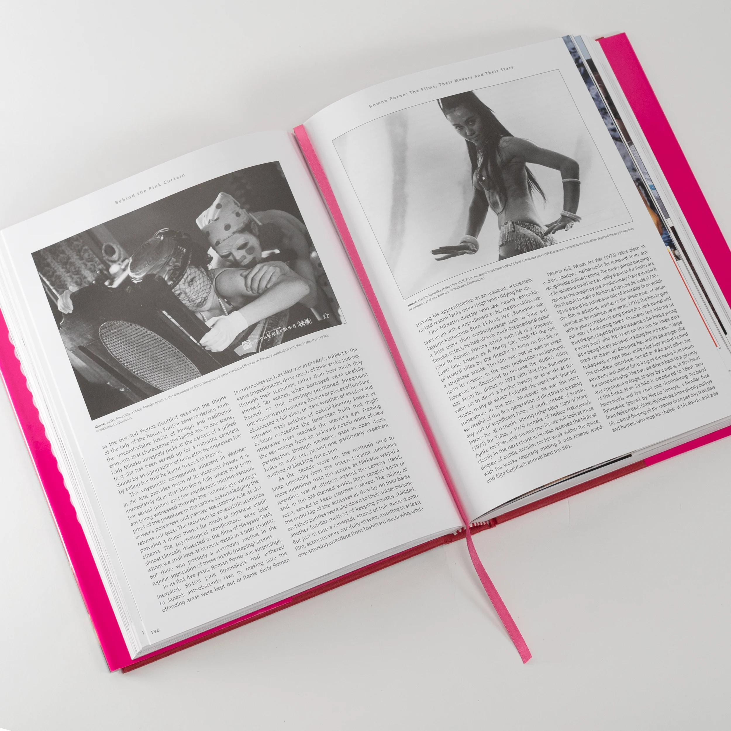 Behind the Pink Curtain - Hardcover Book - Image 5
