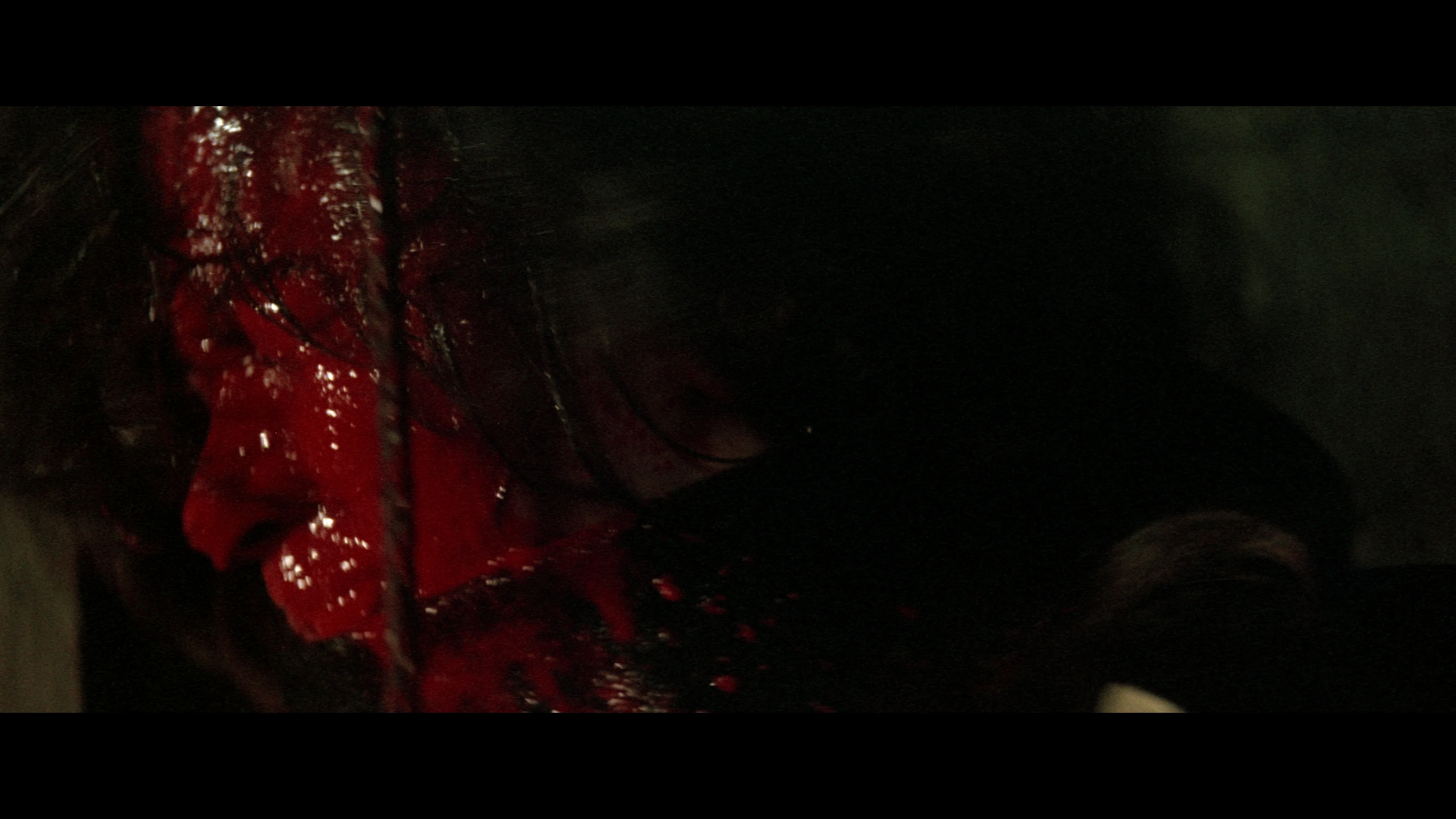 Blood Tracks - Image 18