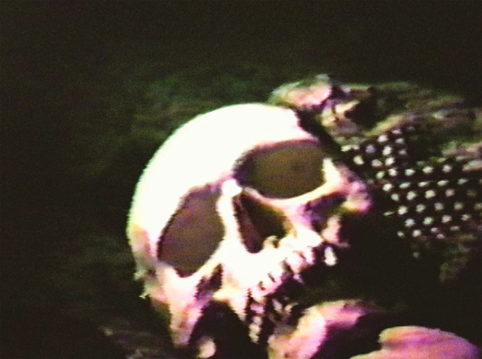 Cannibal Orgy and the Films of J.T. IV - Image 3