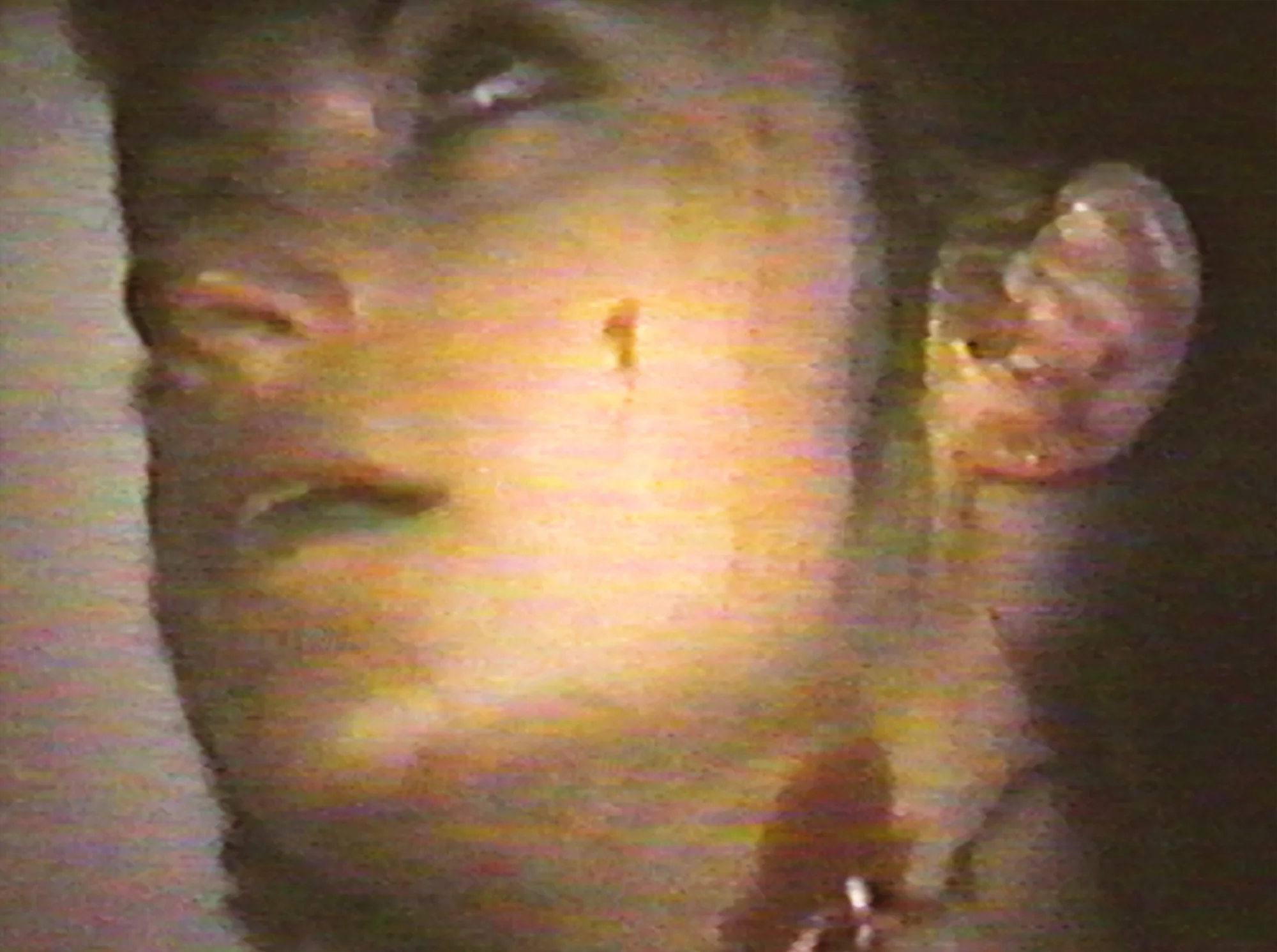 Cannibal Orgy and the Films of J.T. IV - Image 8