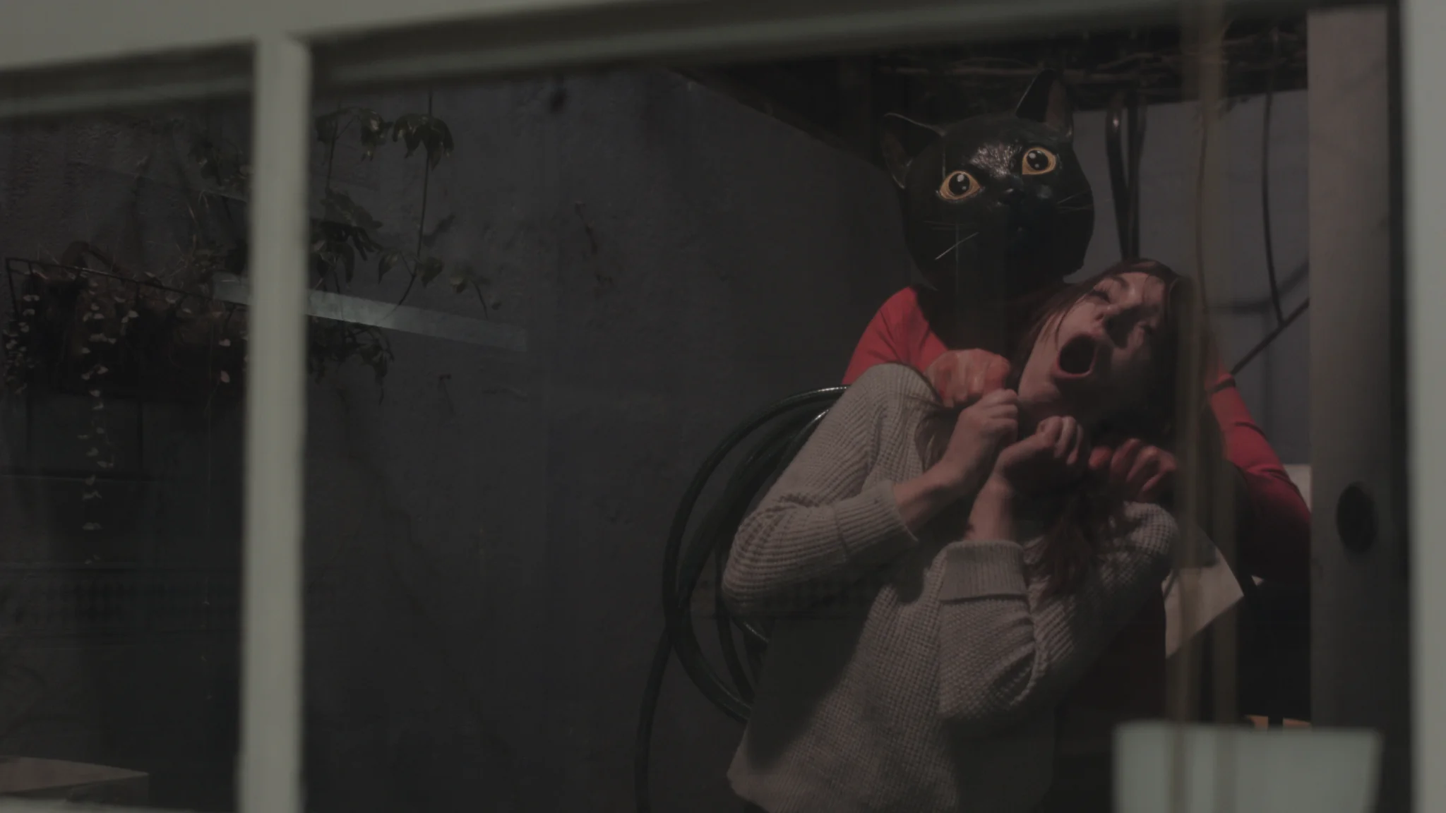 Cat Sick Blues - Image 4