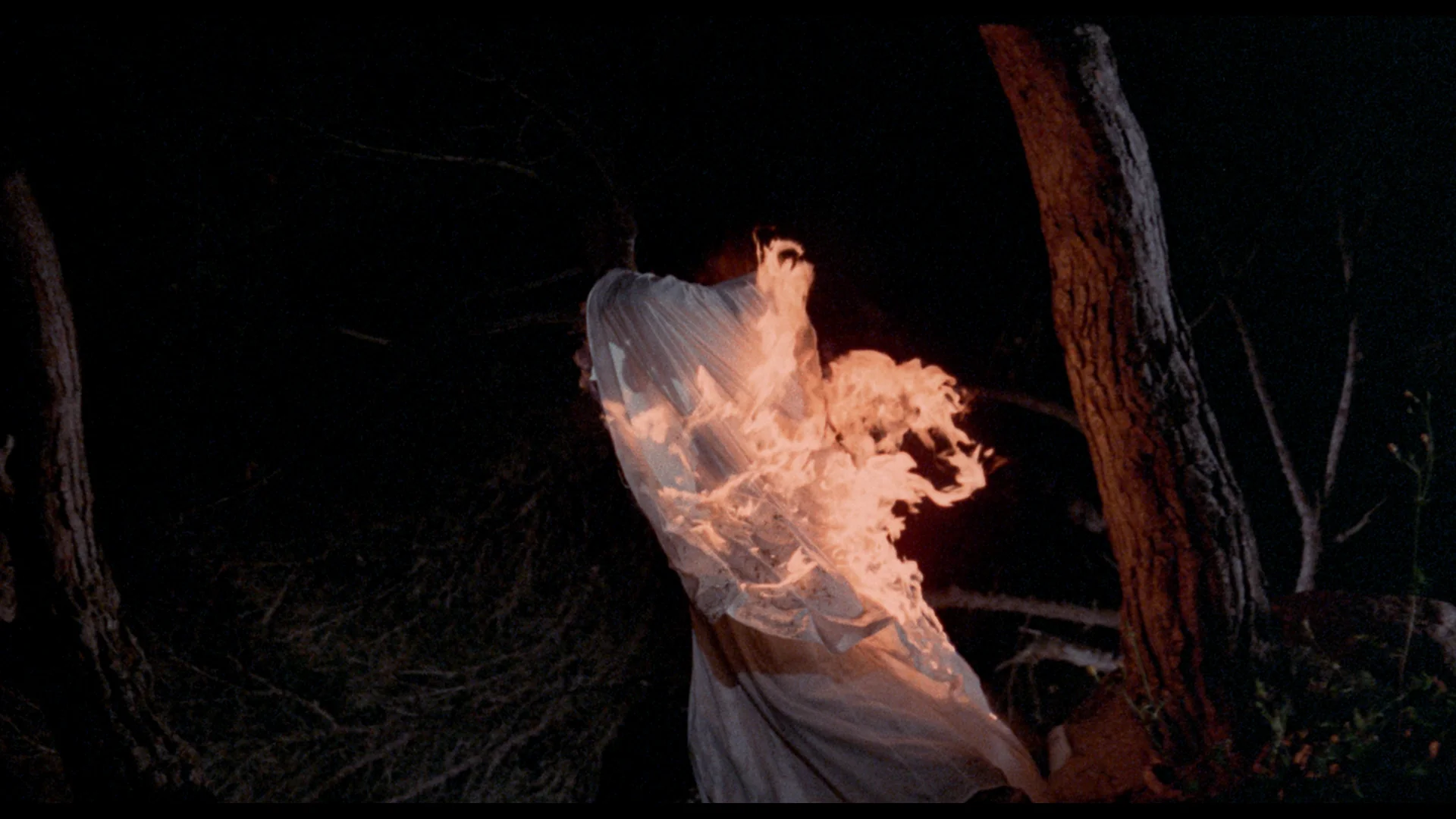 Crypt of the Living Dead / House of the Living Dead - Image 13