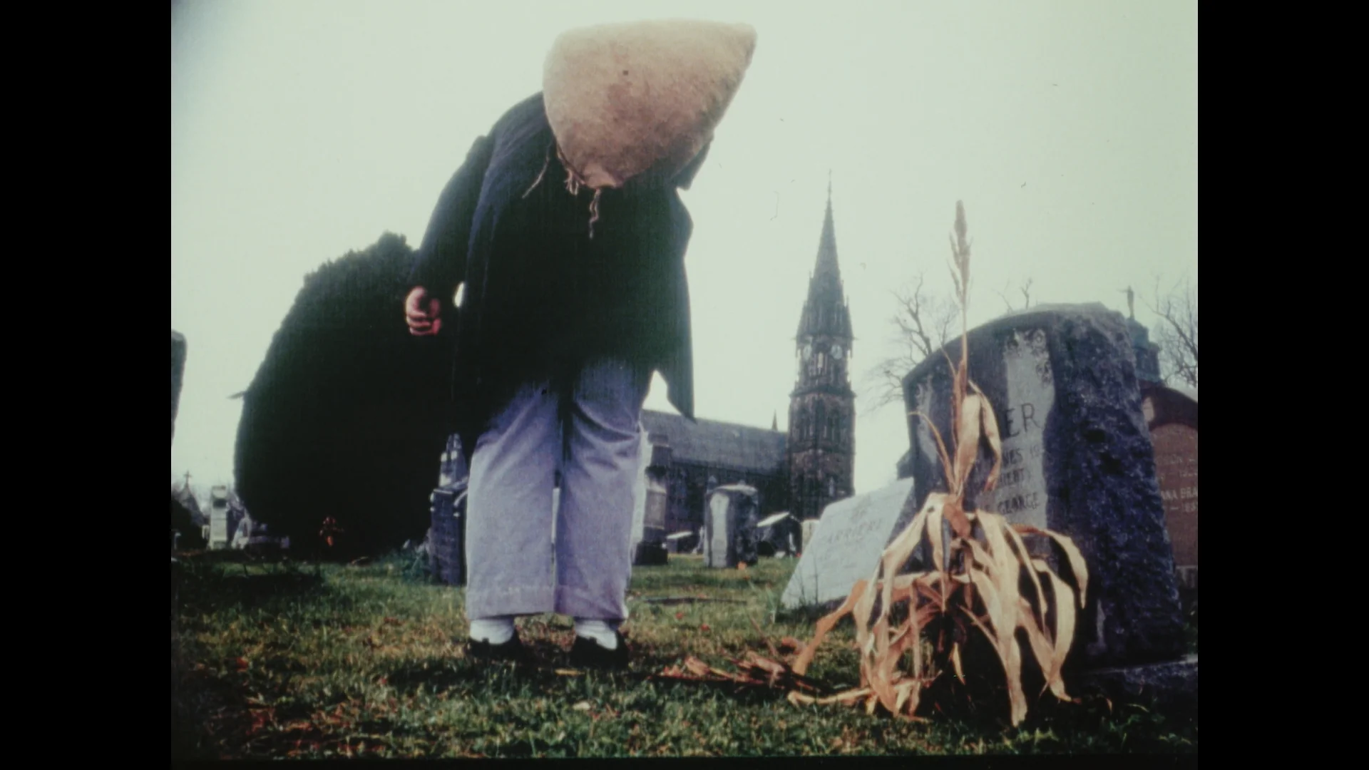 Death Laughs Among Us: The Complete Works of John Schnall - Image 9