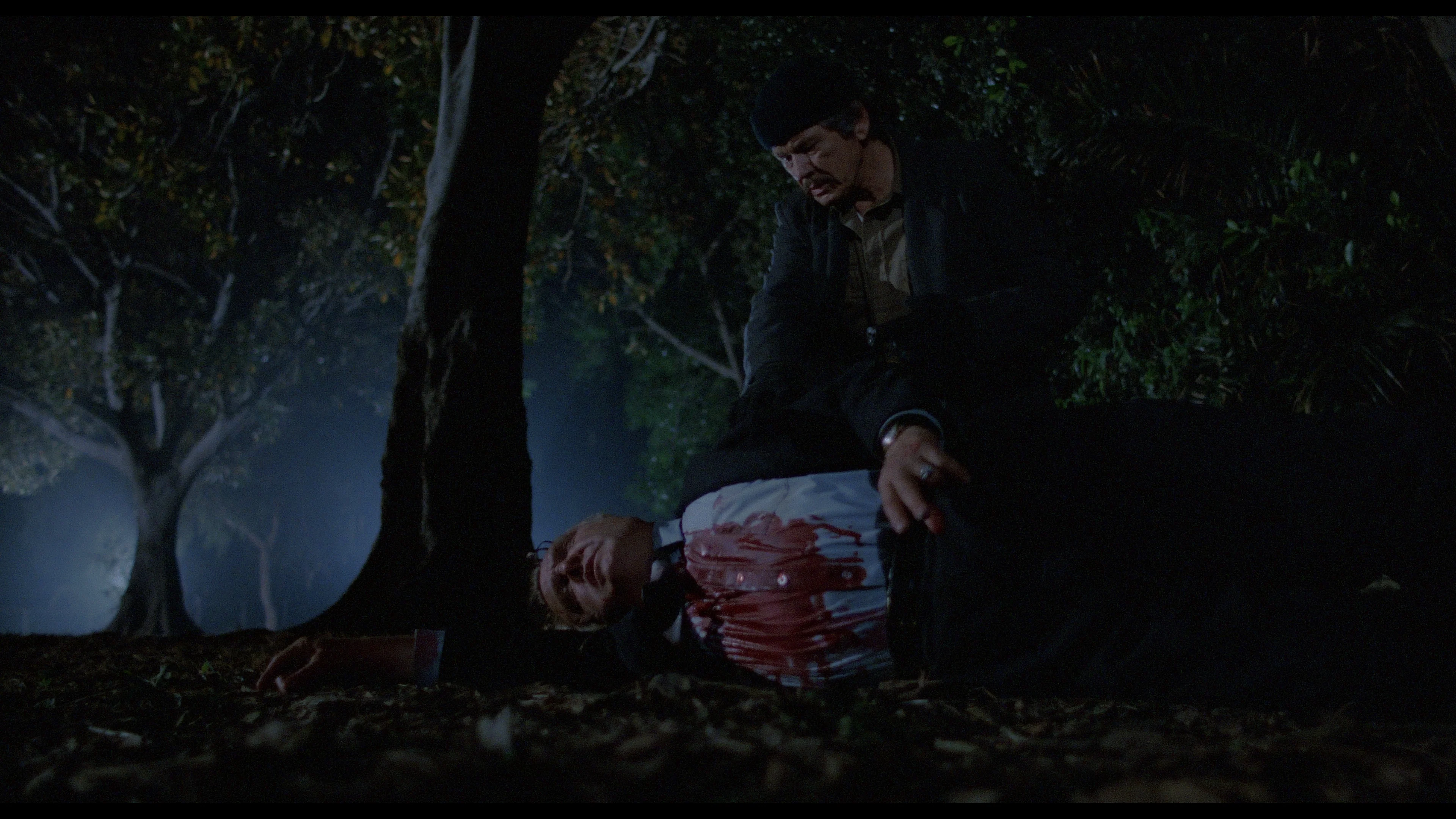 Death Wish II - Image 16