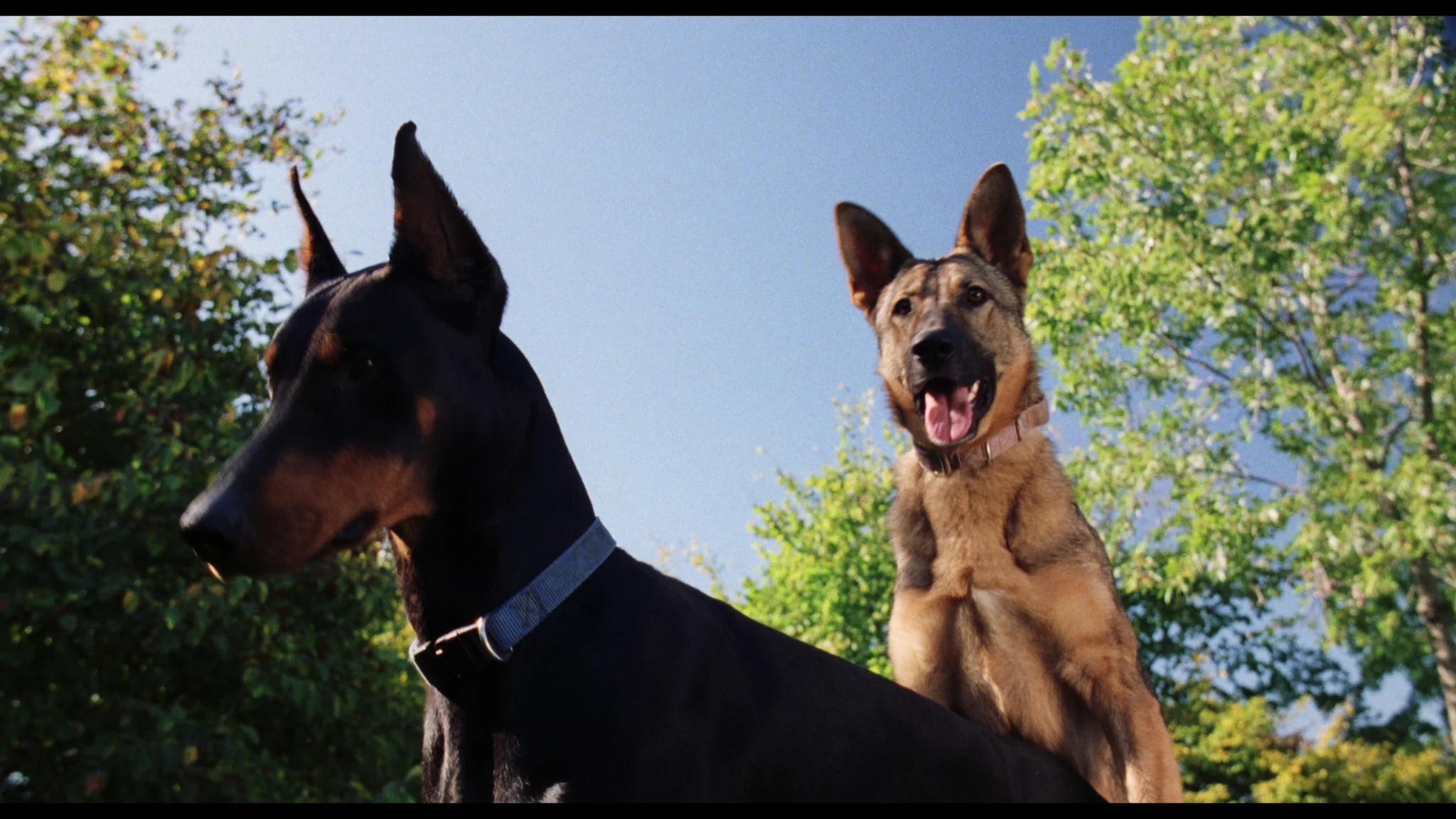 Dirty Work - Image 11