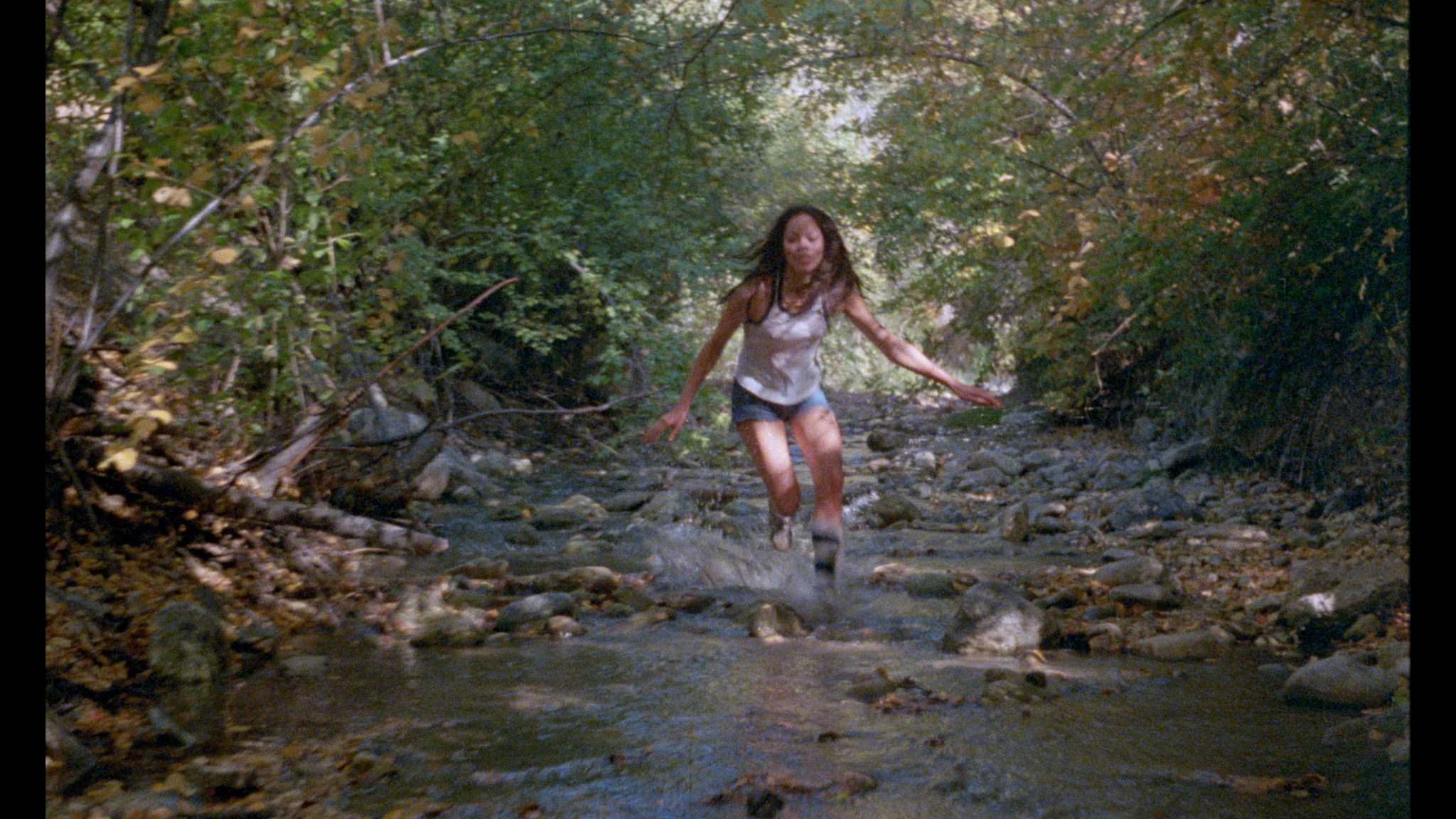 Don't Go In the Woods - Image 4