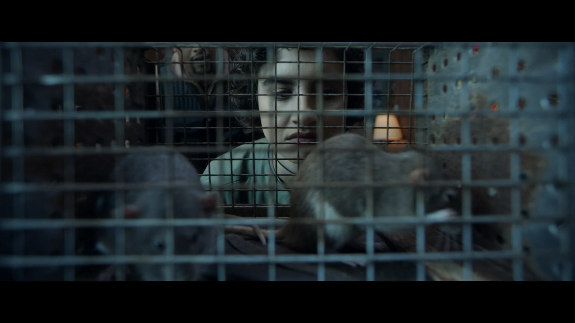 Eat Brains Love - Image 7