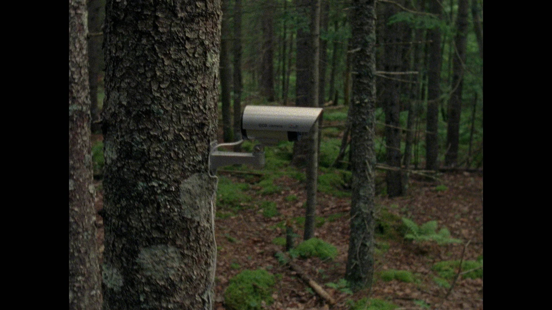 For the Plasma - Image 7
