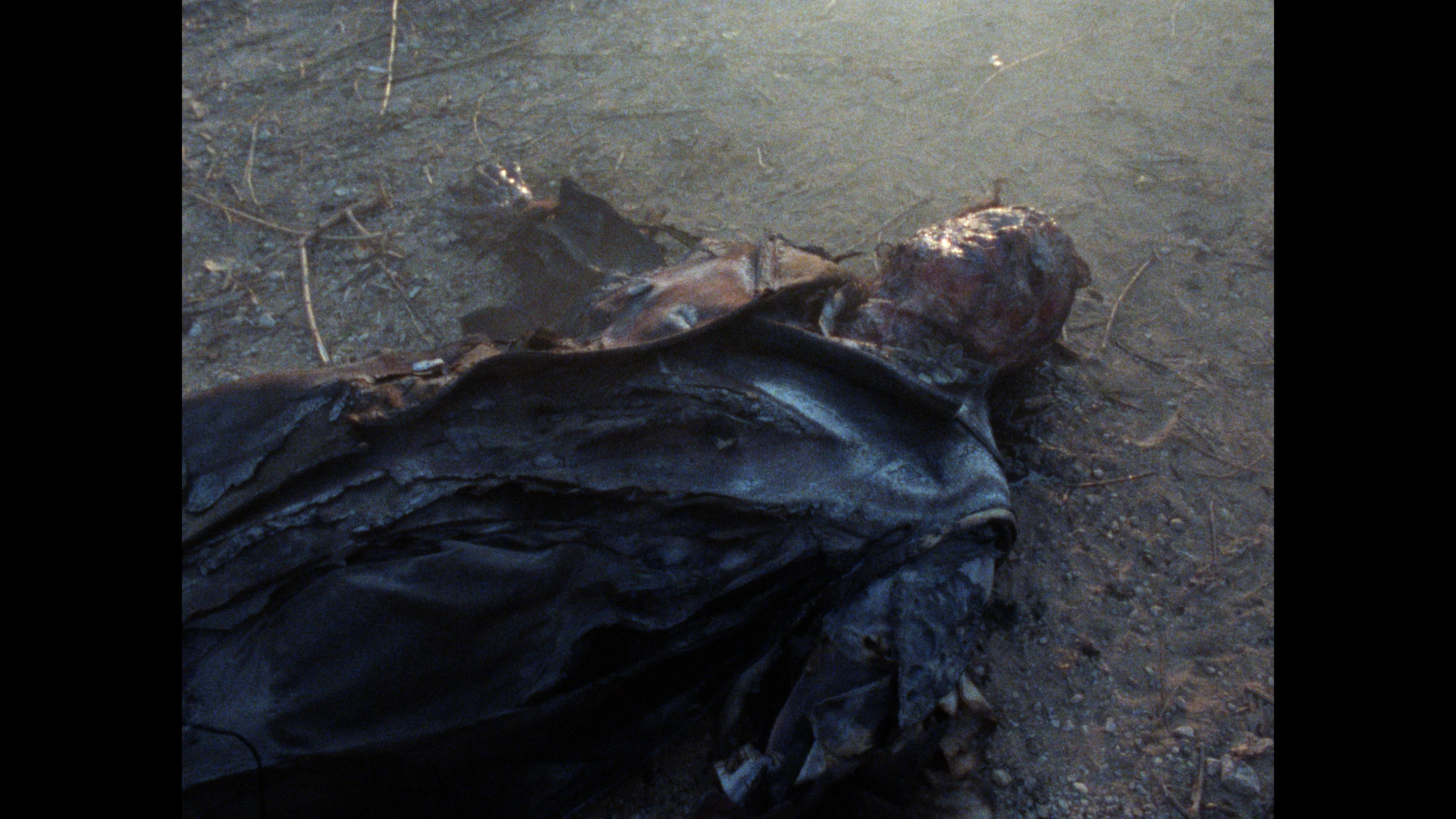 Home Grown Horrors: Volume Three - Image 22