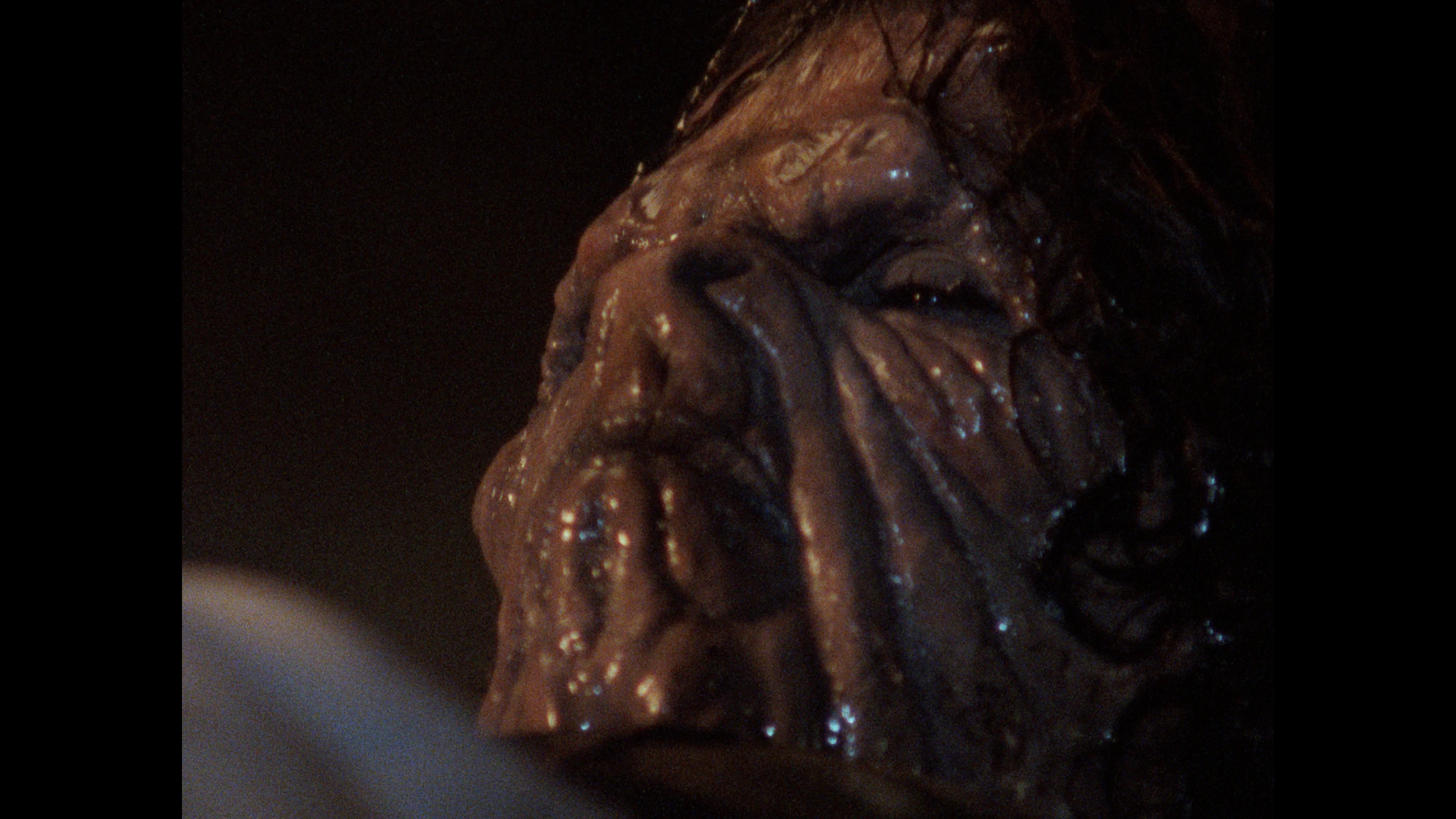 Home Grown Horrors: Volume Three - Image 29