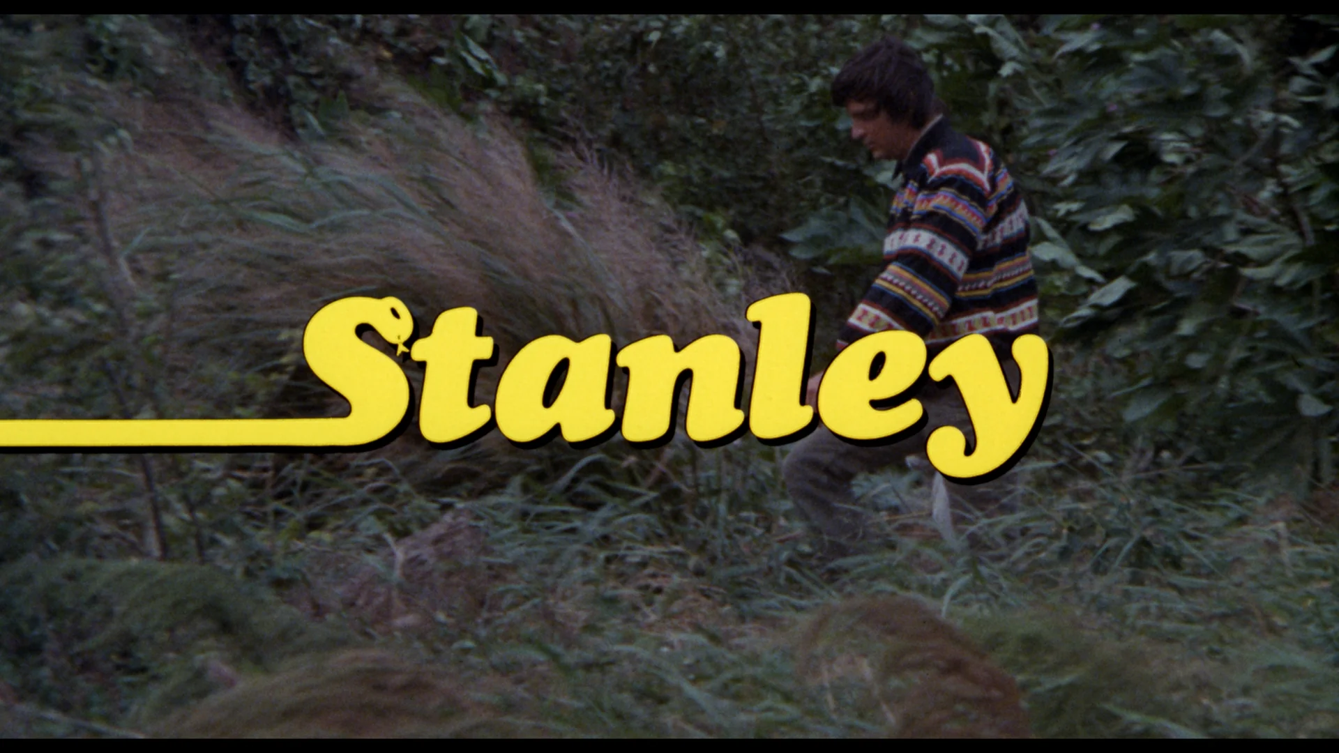 Horror High / Stanley - Image 15