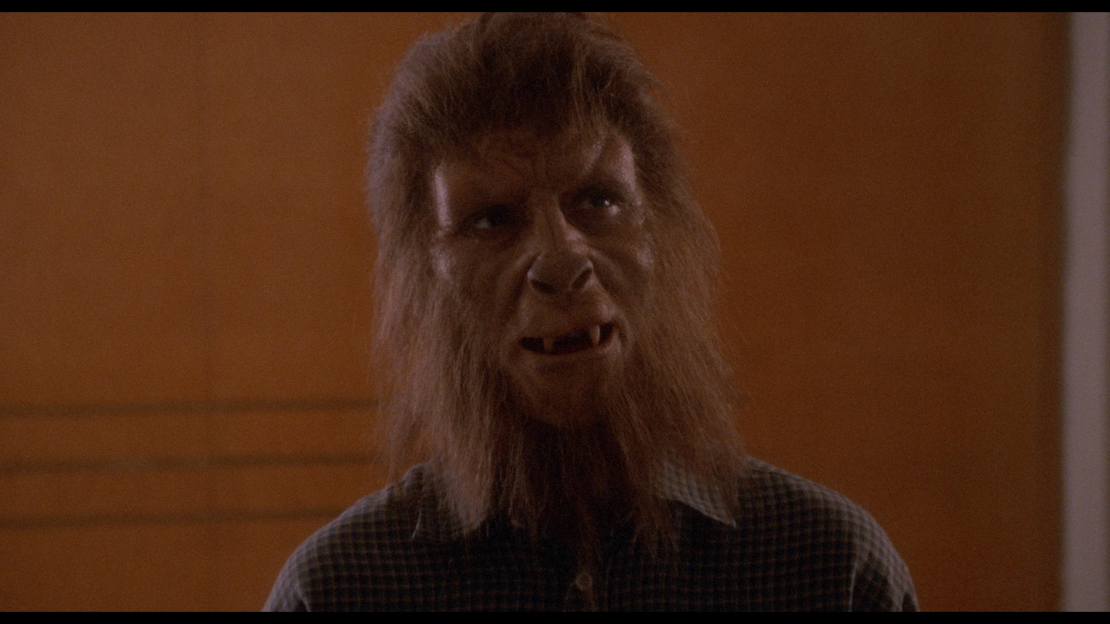 Howling II: Your Sister Is A Werewolf - Image 41