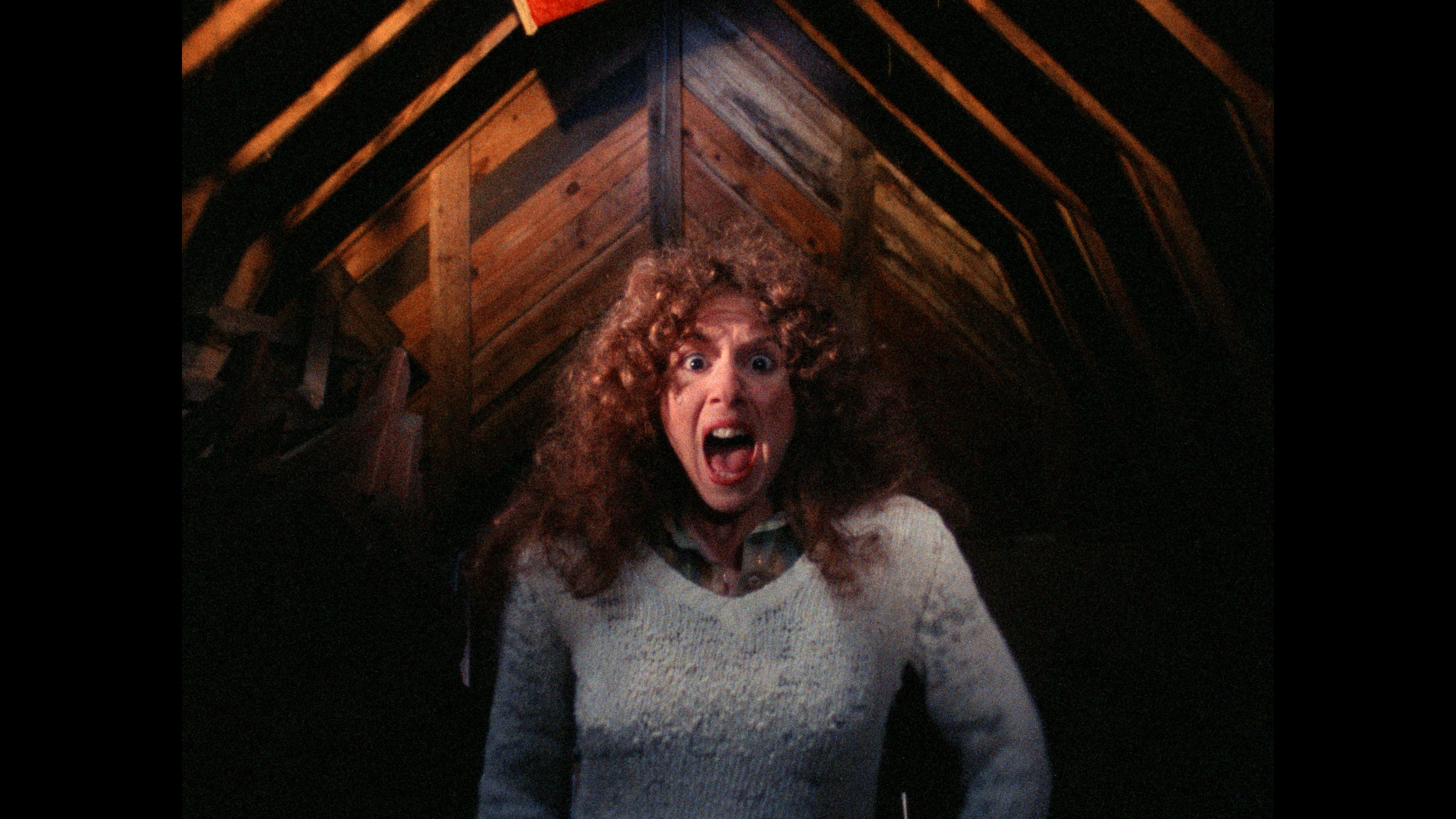 Igor and the Lunatics - Image 19