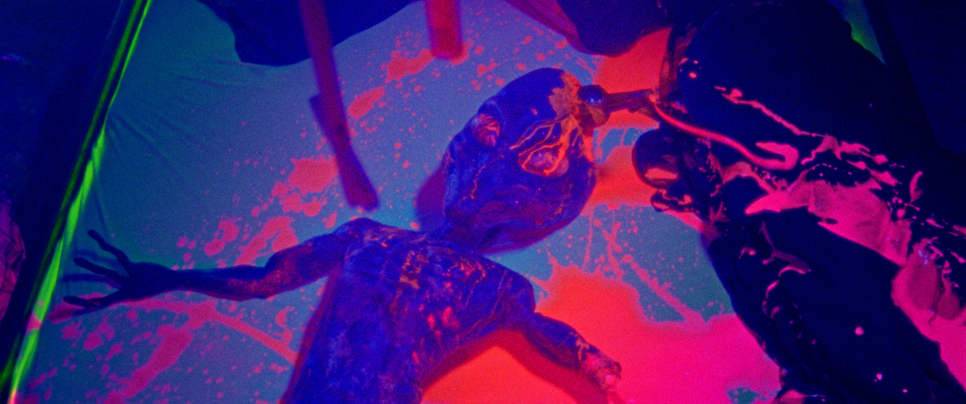Jimmy and Stiggs - Image 4
