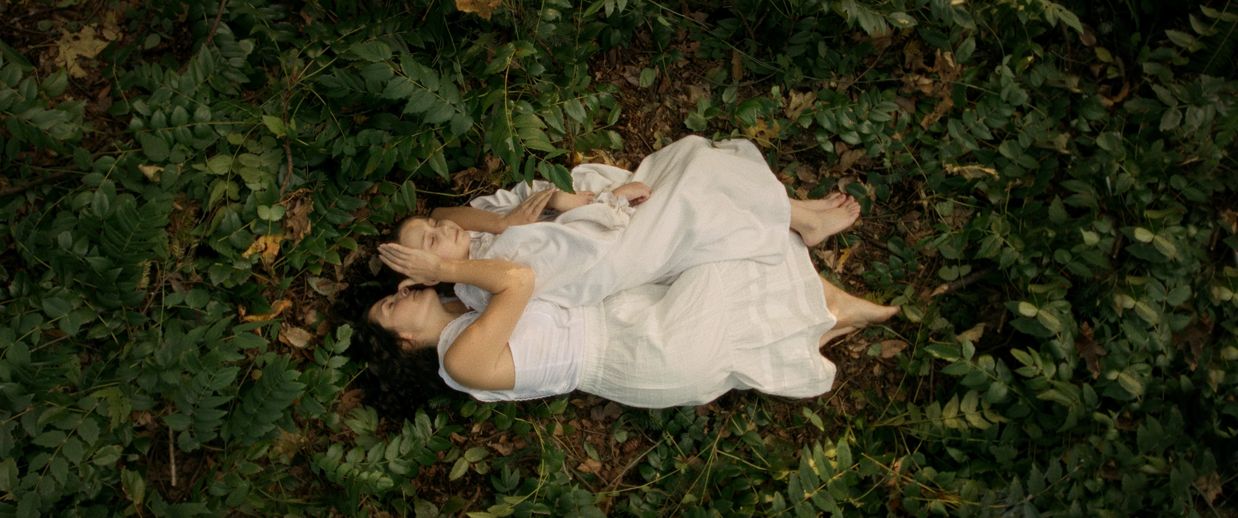 Lilly Lives Alone - Image 10