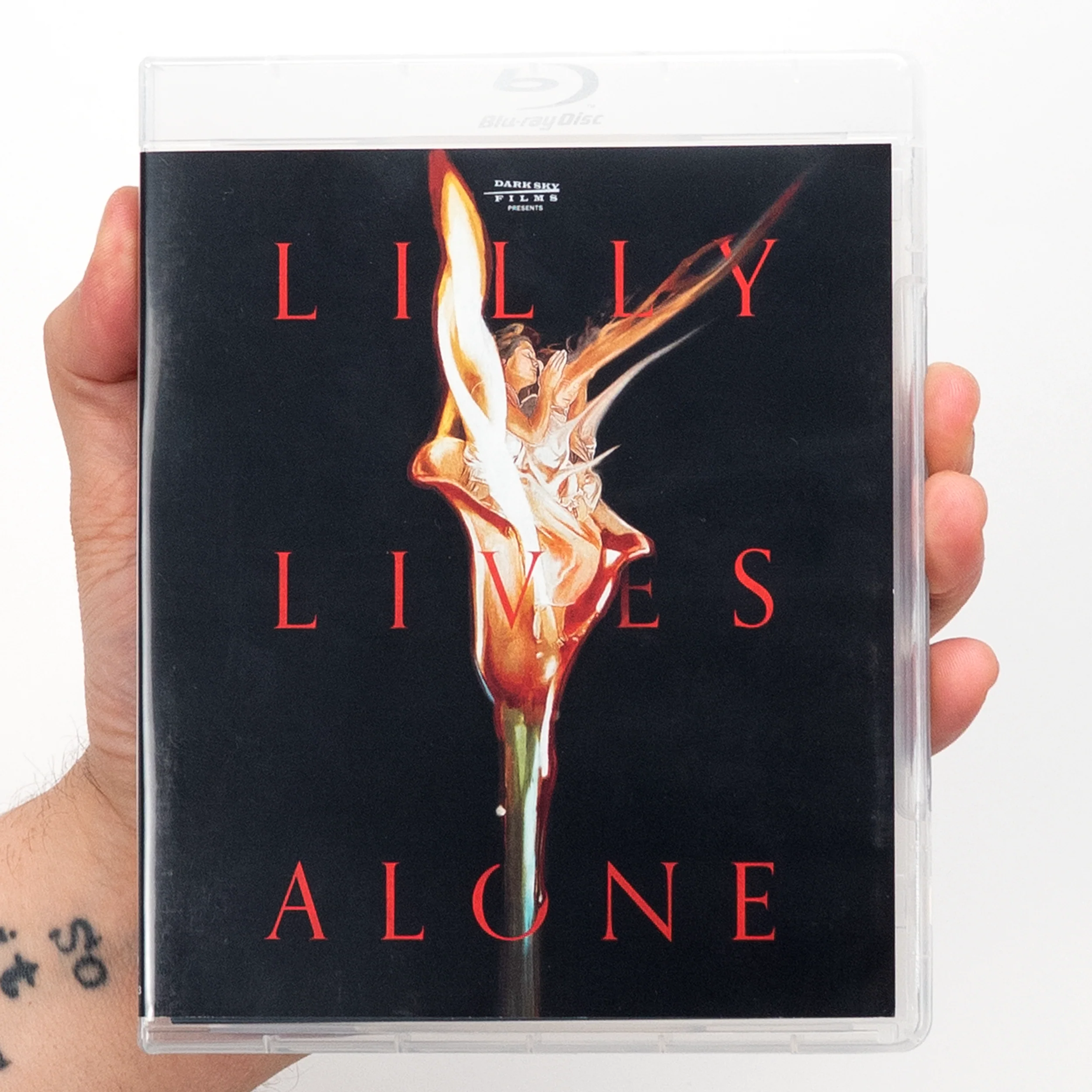Lilly Lives Alone - Image 14