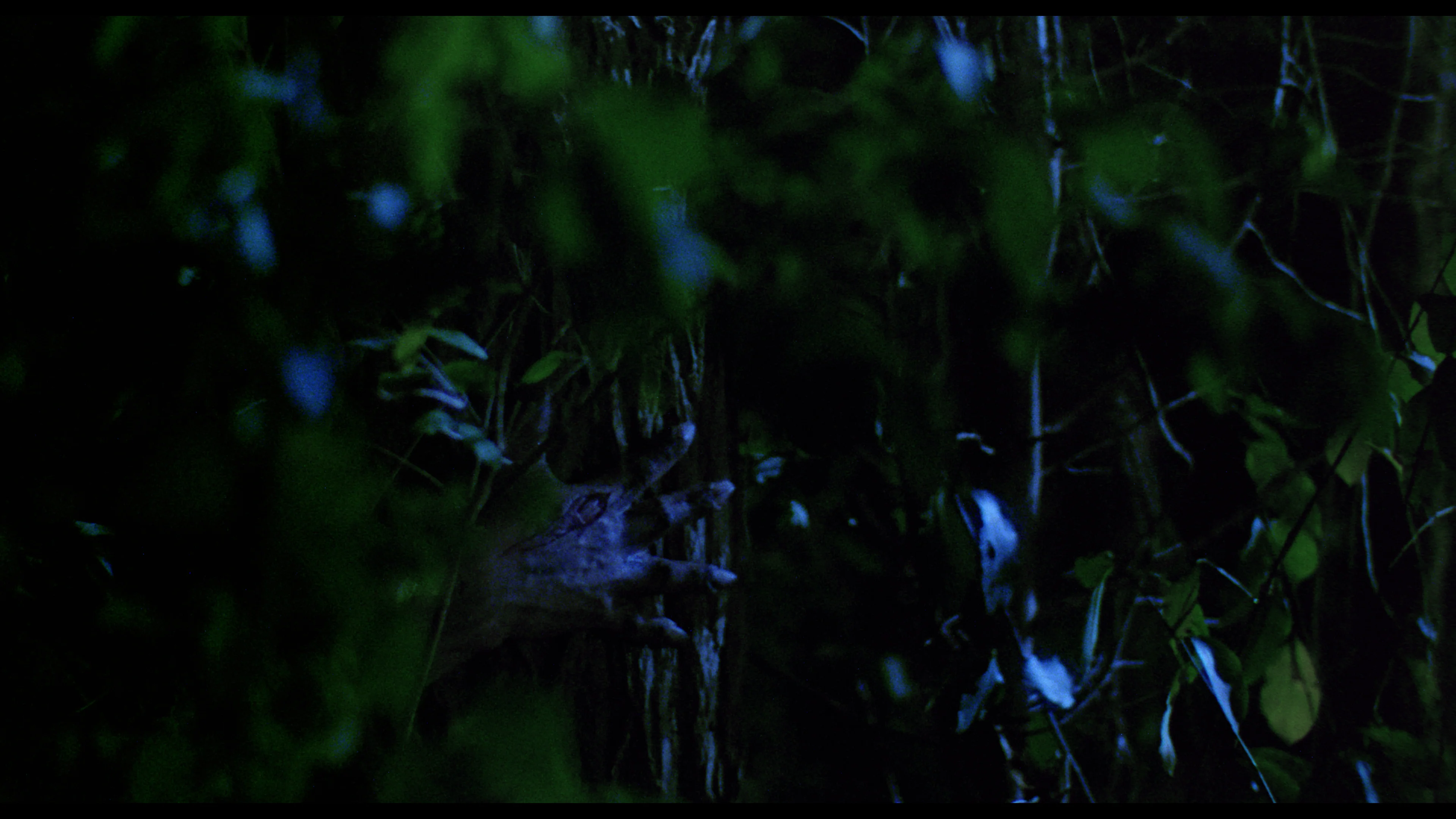 Madman (UHD) - Image 4