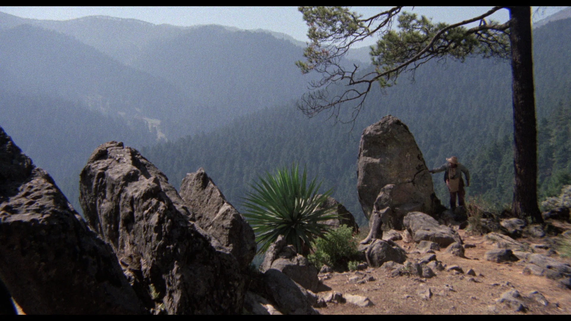 Mexican Gothic: The Films of Carlos Enrique Taboada - Image 46