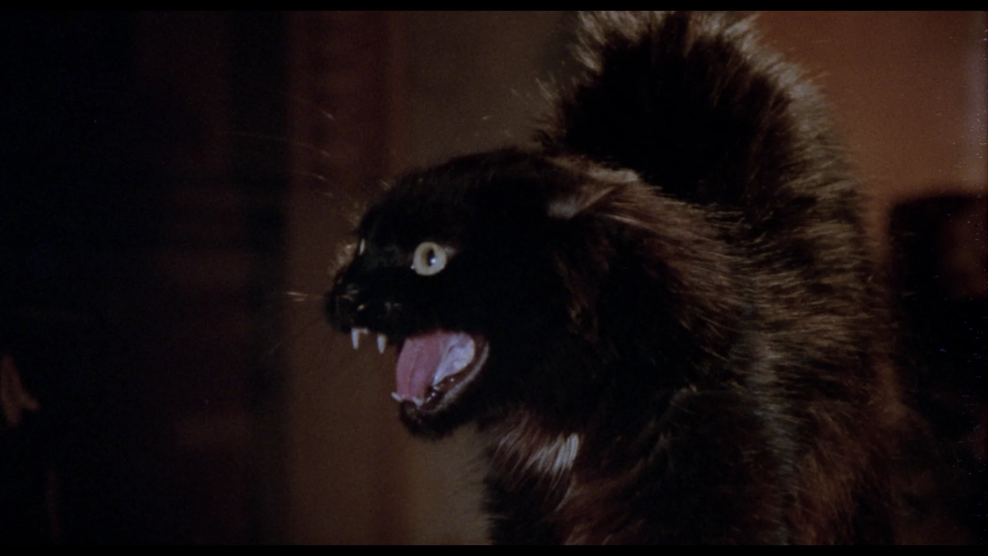 Mexican Gothic: The Films of Carlos Enrique Taboada - Image 6
