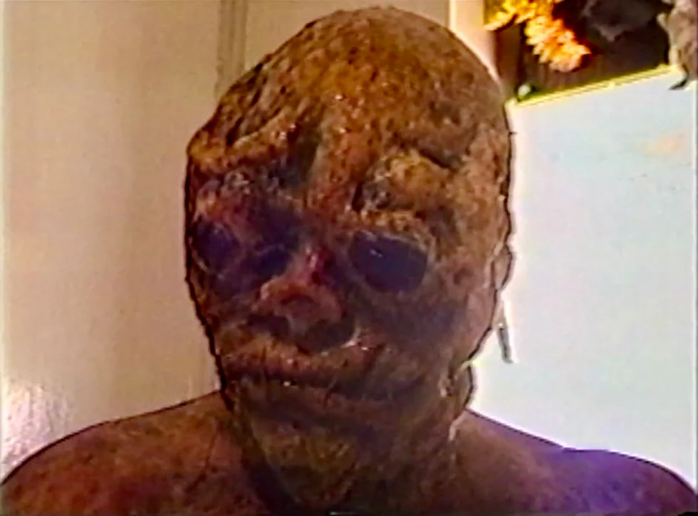 My Crepitus (I Never Left the White Room) - Image 4