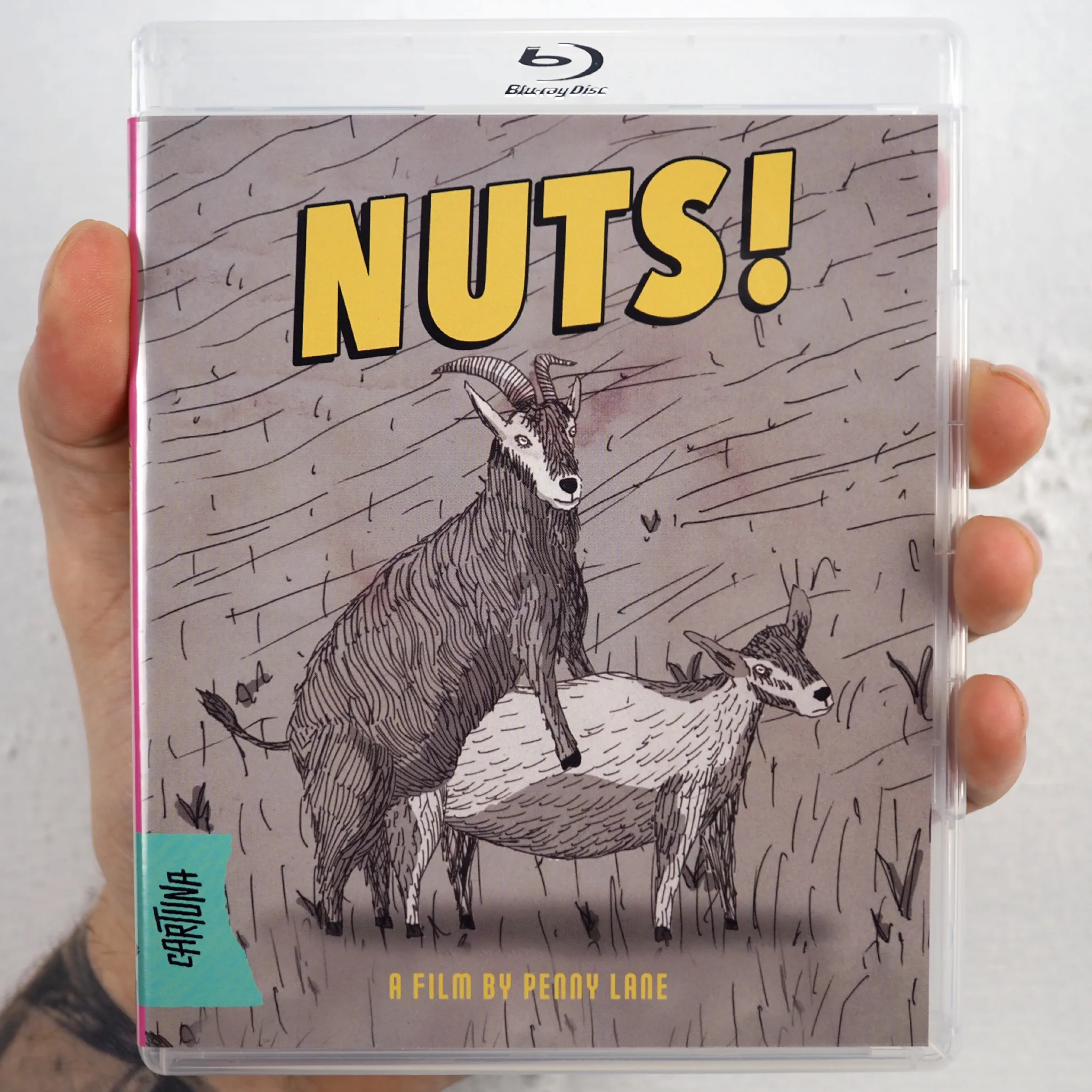 Nuts! - Image 11