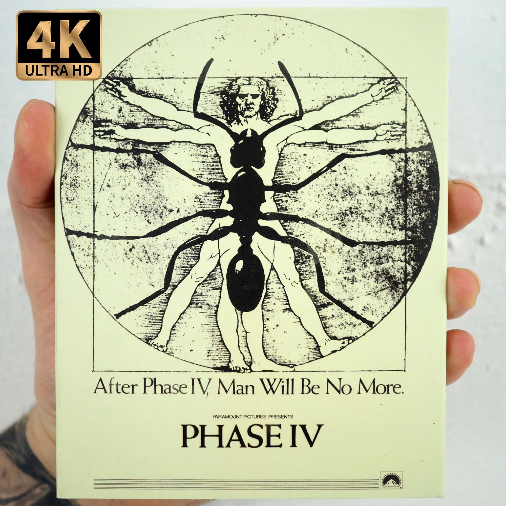 Phase IV - Image 3