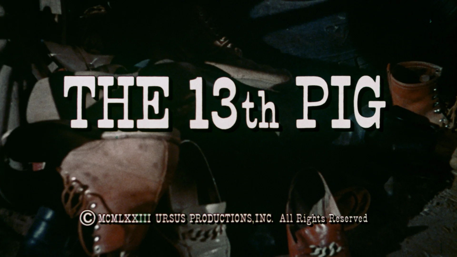 Pigs - Image 3