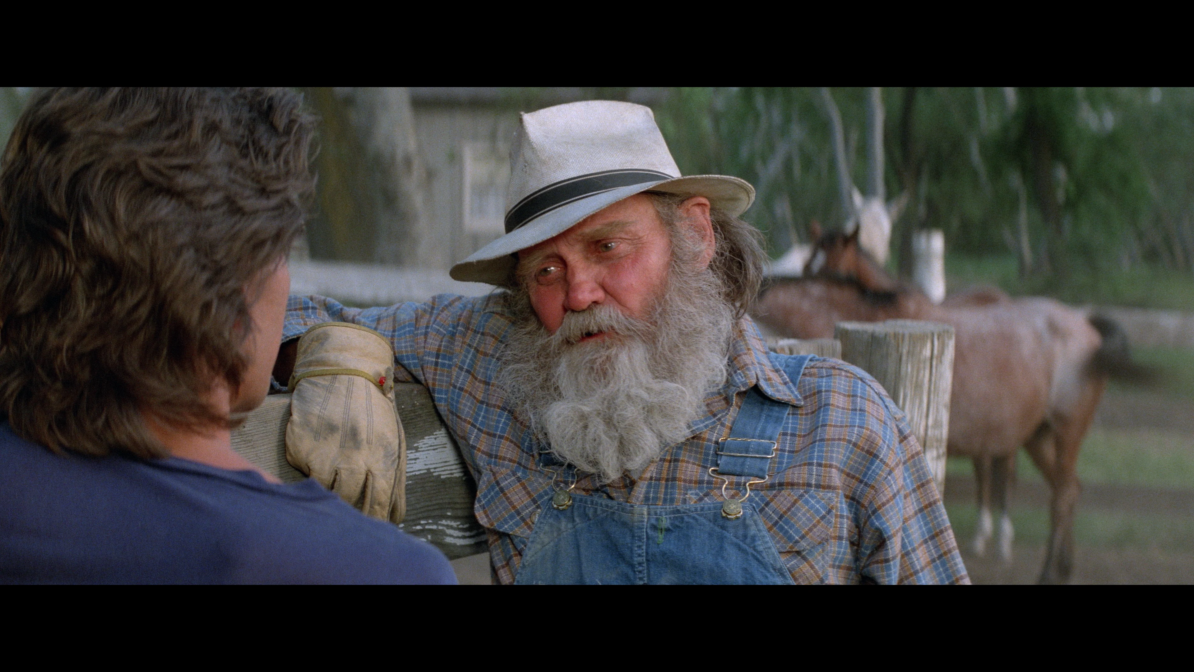 Road House - Image 13