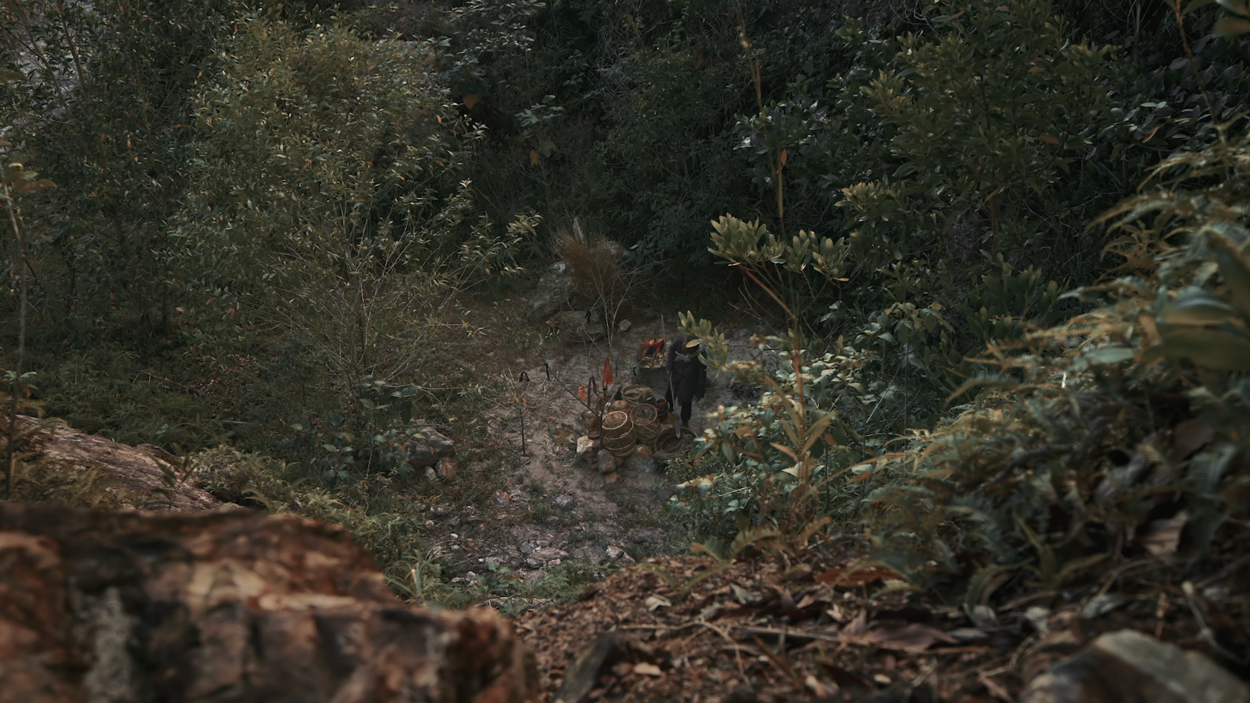 Roh - Image 6