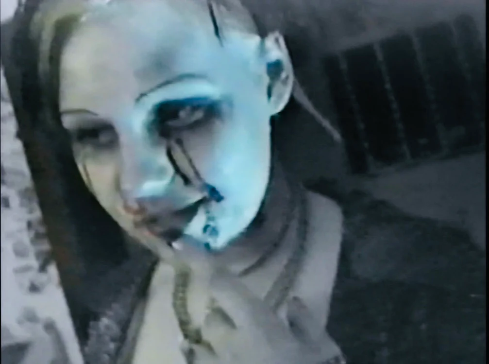 Rot - Image 8