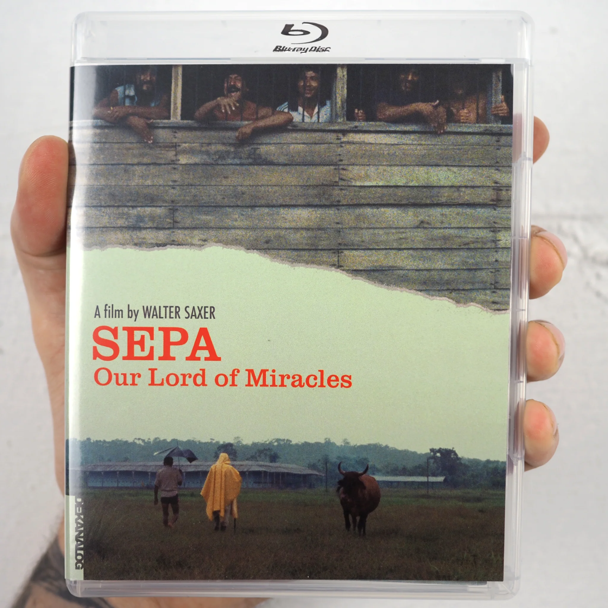 Sepa: Our Lord of Miracles - Image 10