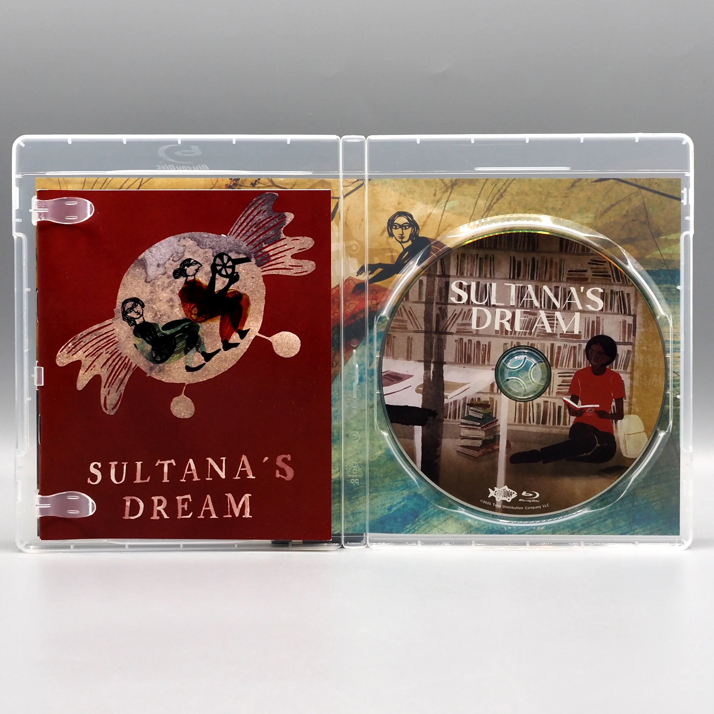 Sultana's Dream - Image 3