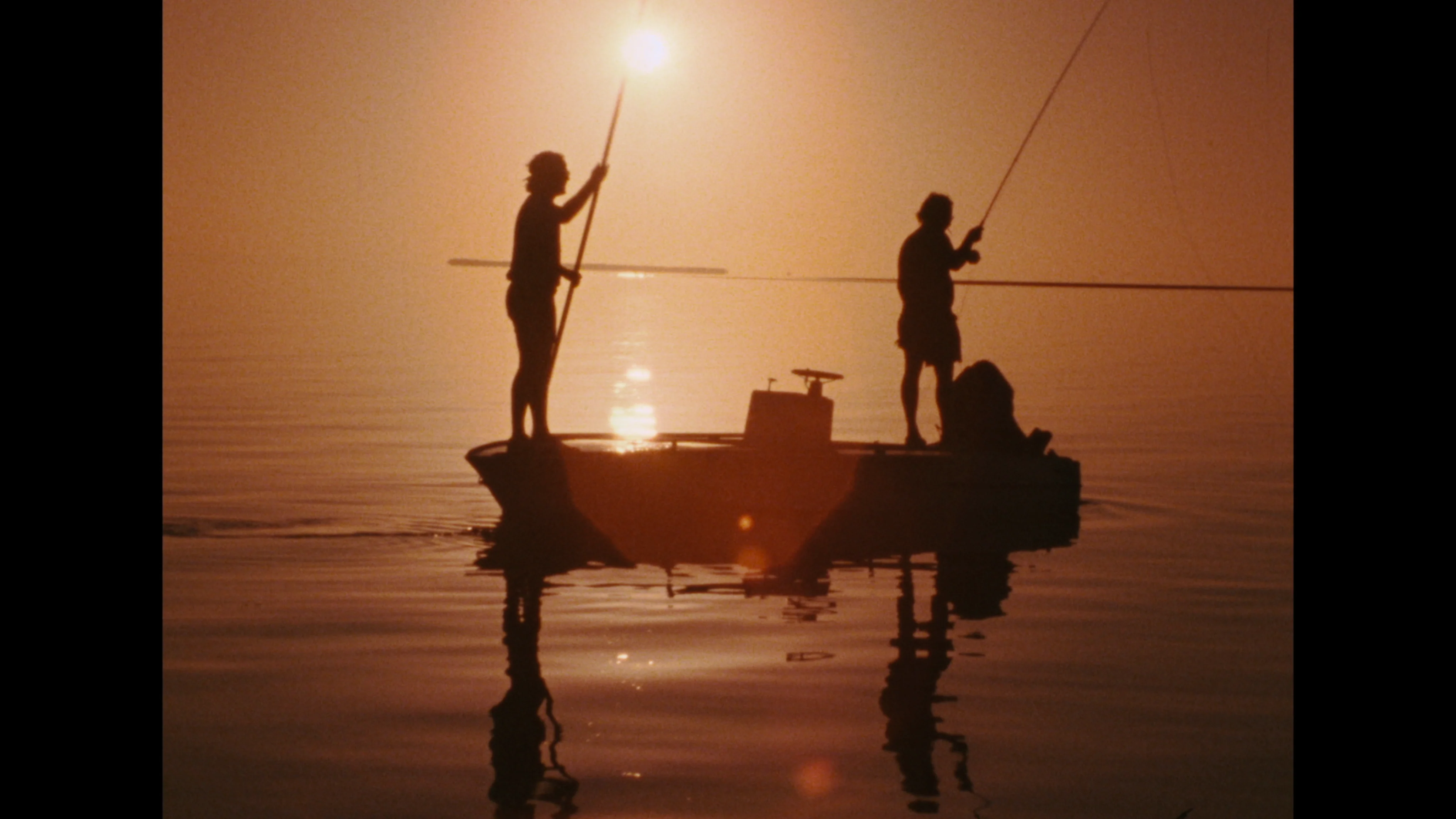 Tarpon - Image 9