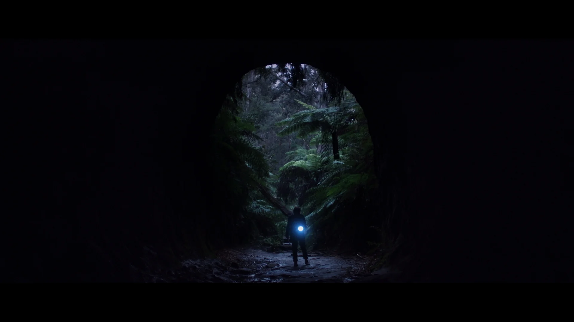 The Banished - Image 10