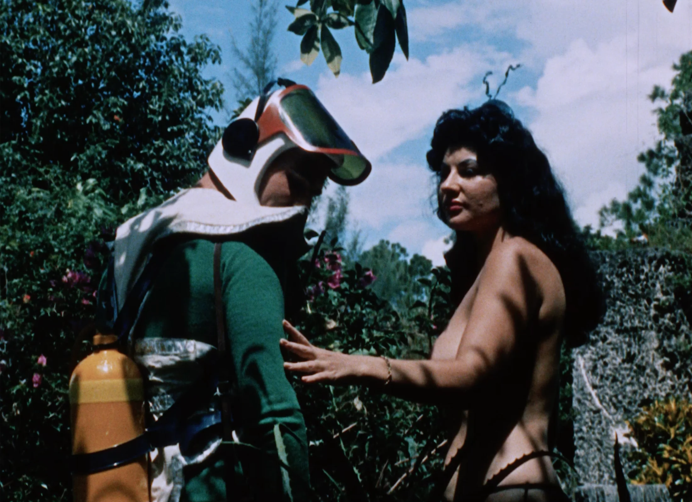 The Films of Doris Wishman: The Daylight Years - Image 6