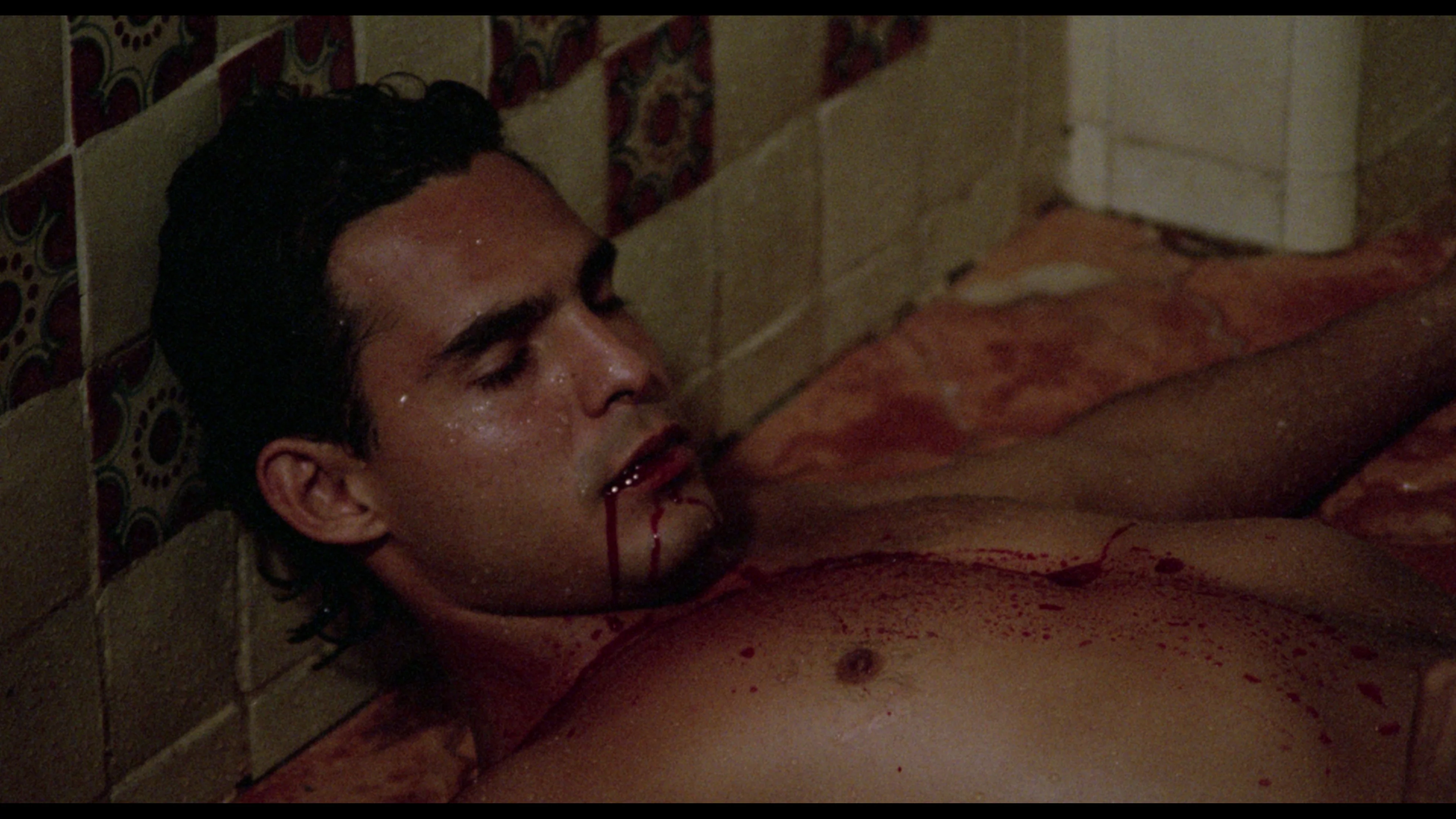 The Films of Enrique Gómez Vadillo - Image 17