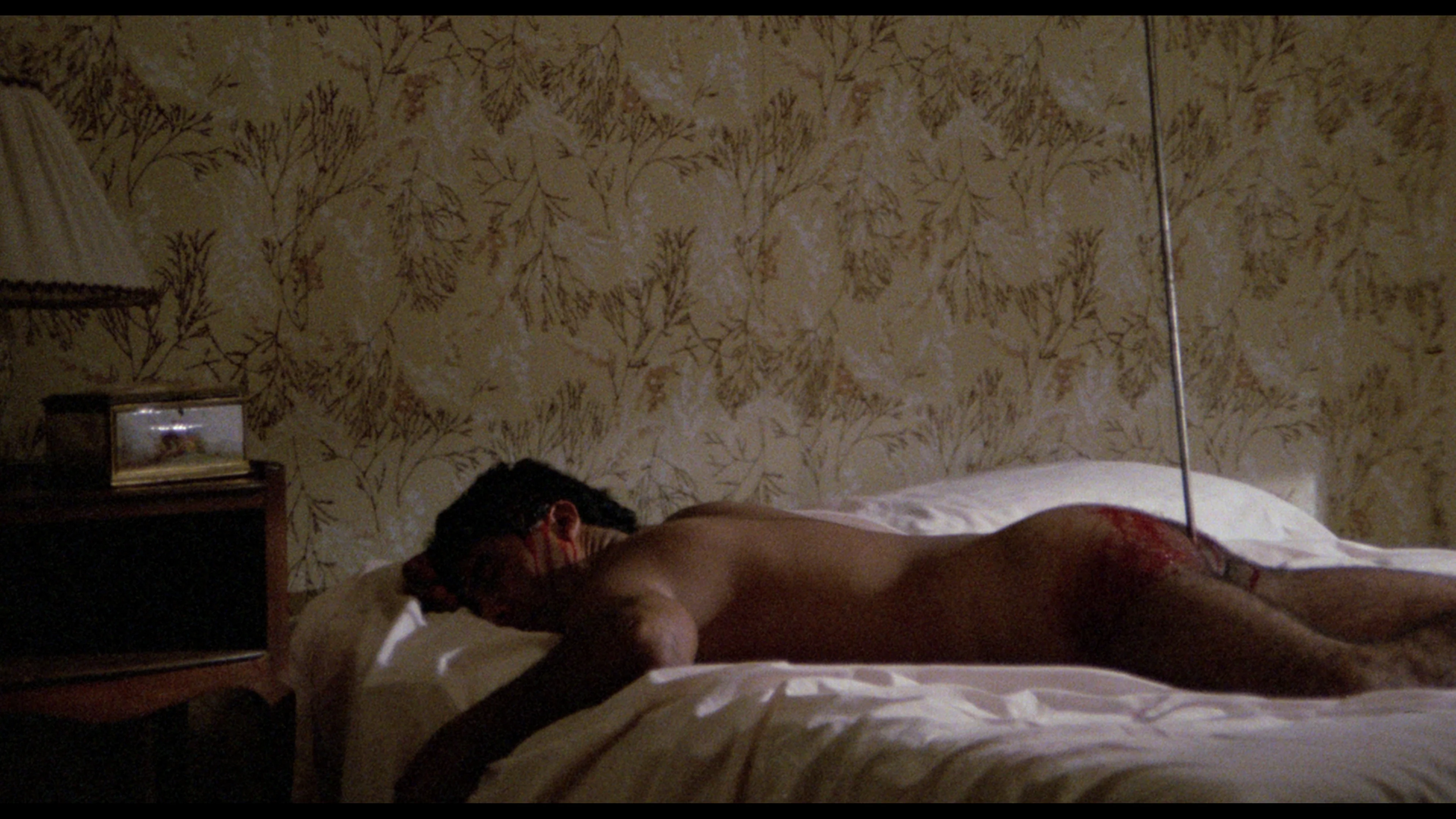 The Films of Enrique Gómez Vadillo - Image 3