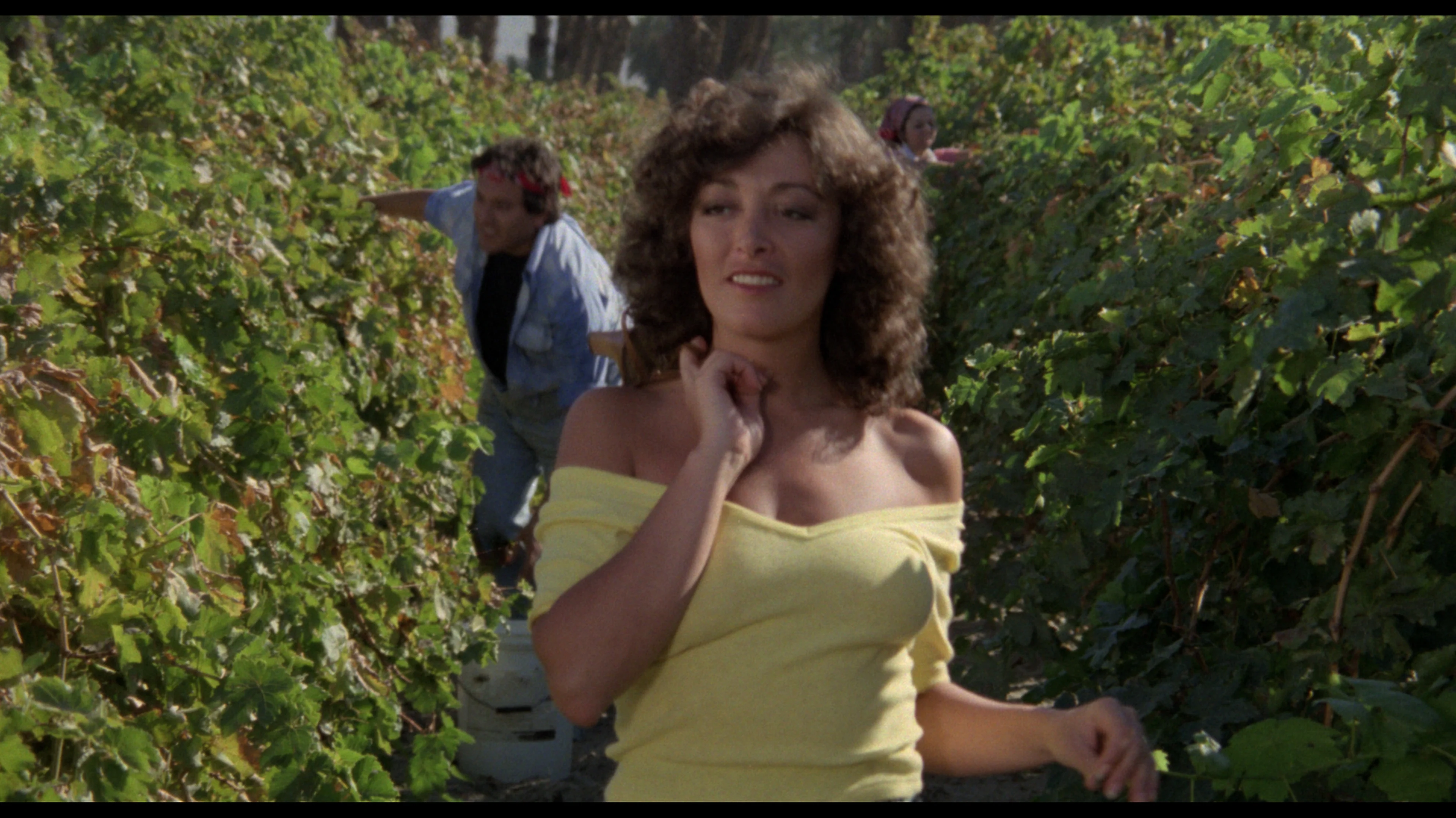 The Films of Enrique Gómez Vadillo - Image 31