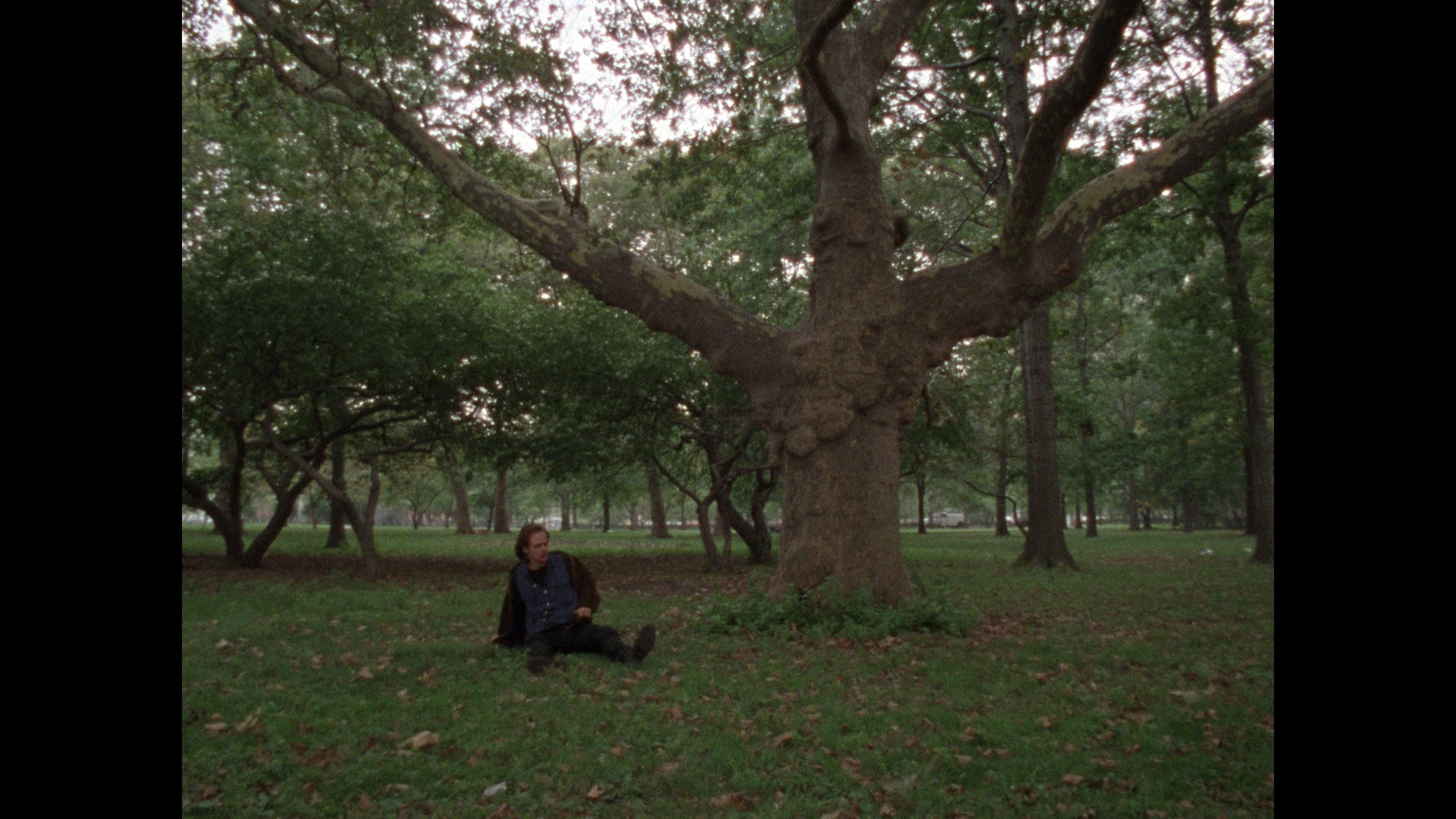The Films of Larry Fessenden: Volume 1 - Habit & No Telling - Image 19