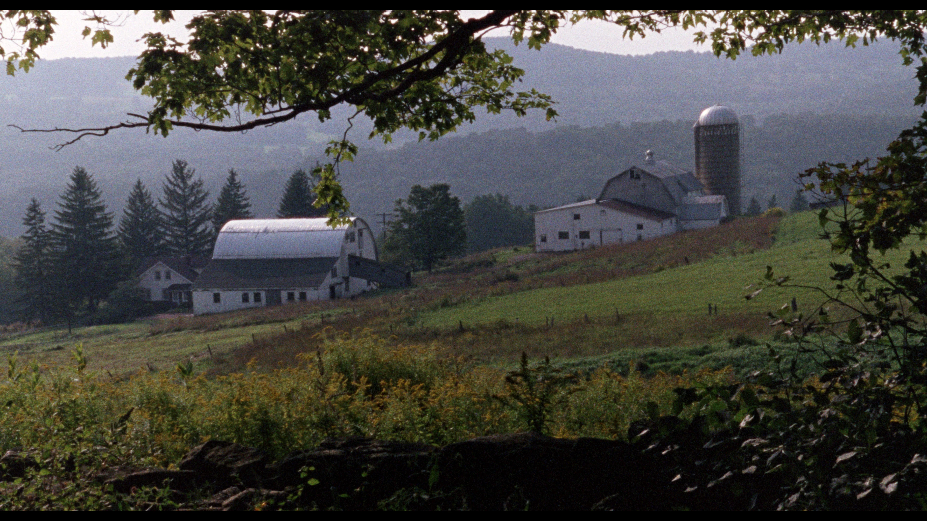 The Films of Larry Fessenden: Volume 1 - Habit & No Telling - Image 27