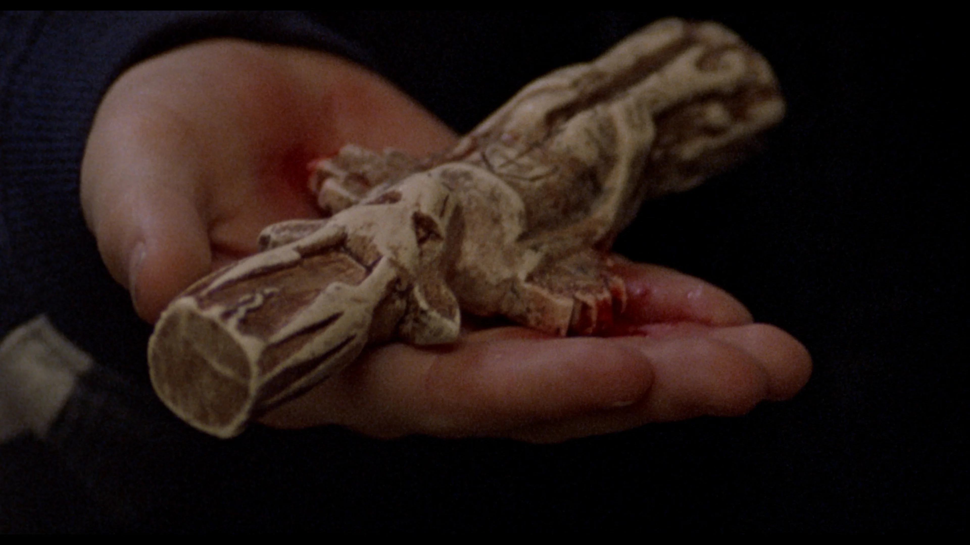 The Films of Larry Fessenden: Volume 2 - Wendigo & The Last Winter - Image 29