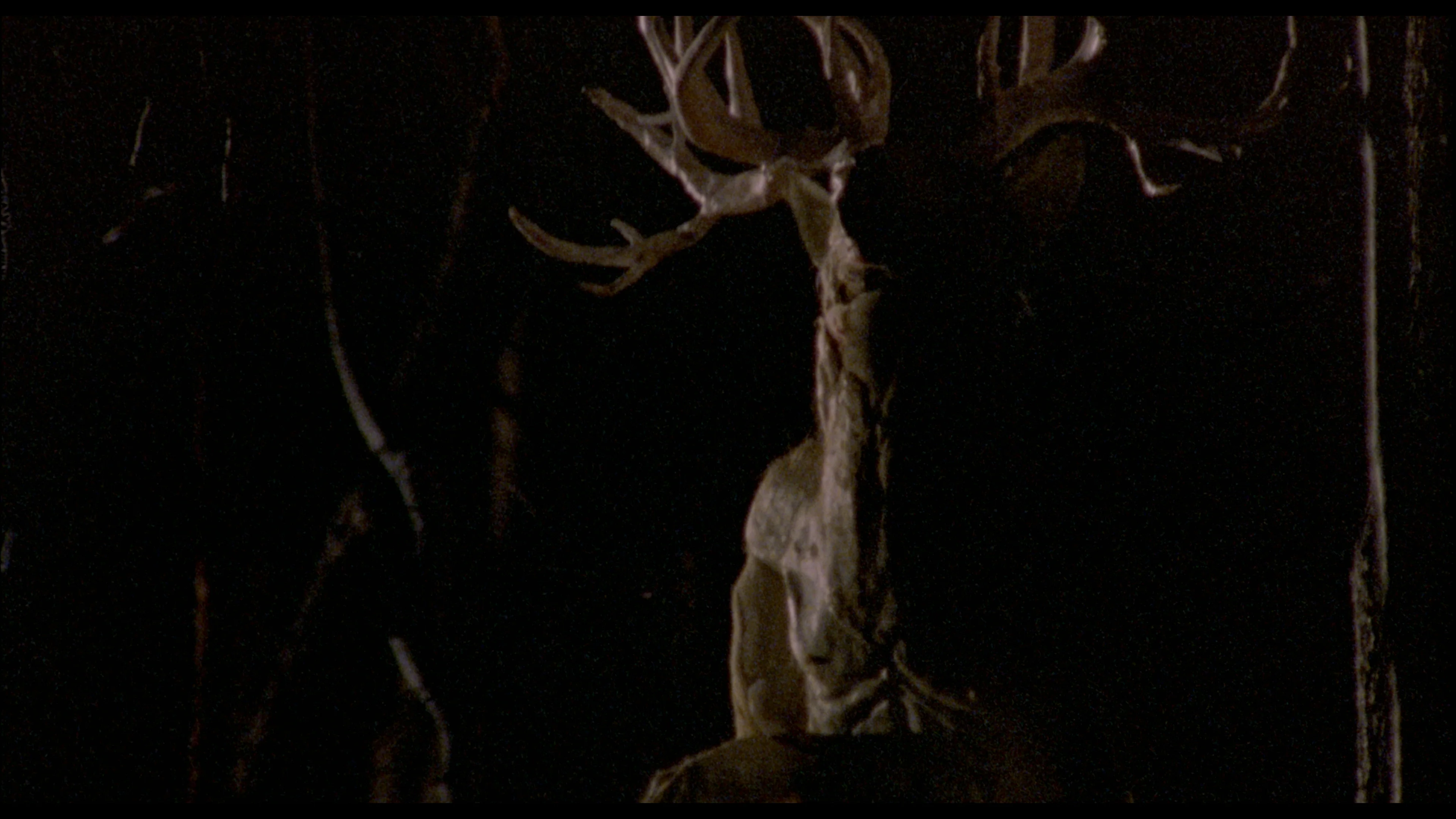 The Films of Larry Fessenden: Volume 2 - Wendigo & The Last Winter - Image 31