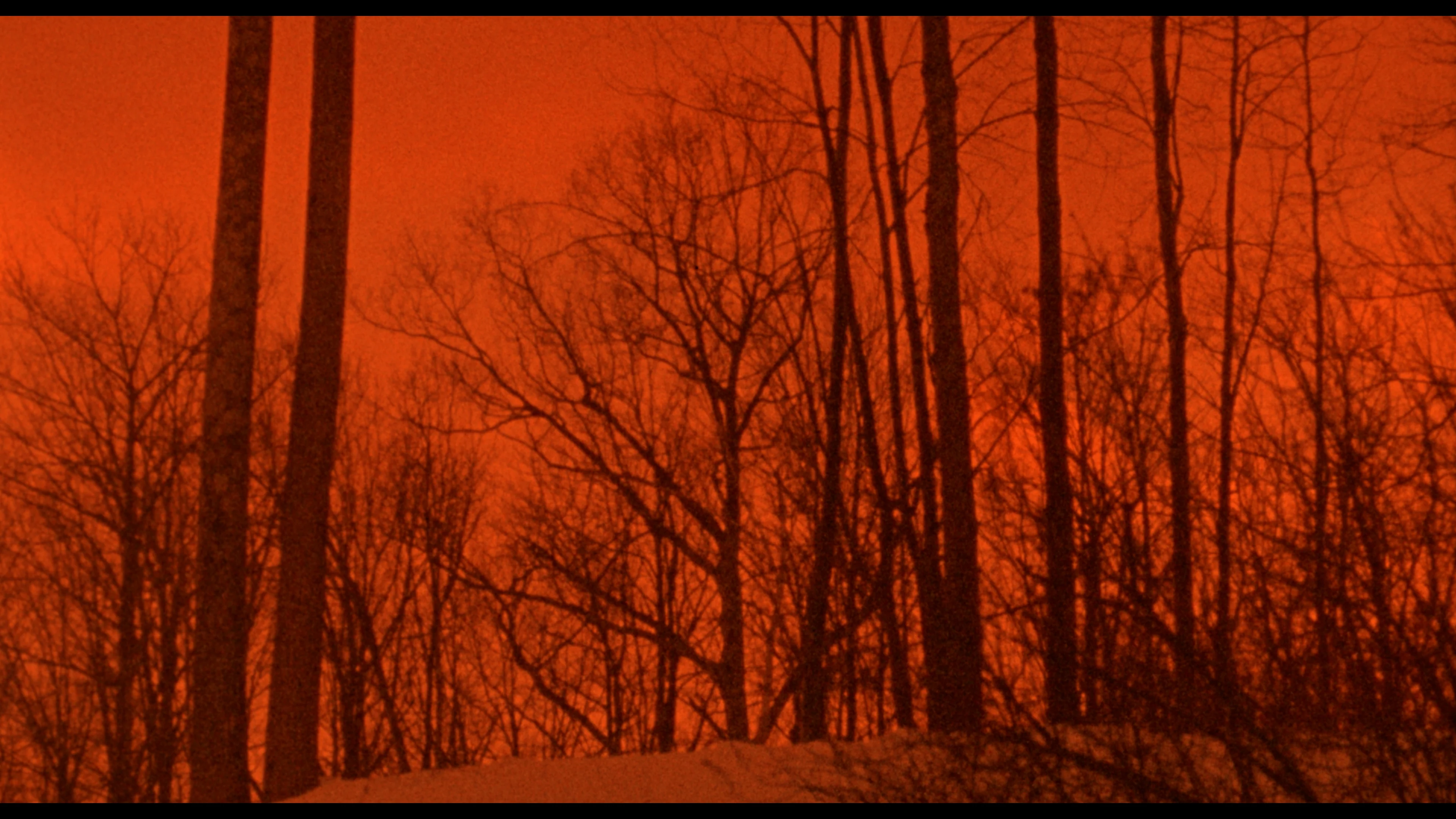 The Films of Larry Fessenden: Volume 2 - Wendigo & The Last Winter - Image 32