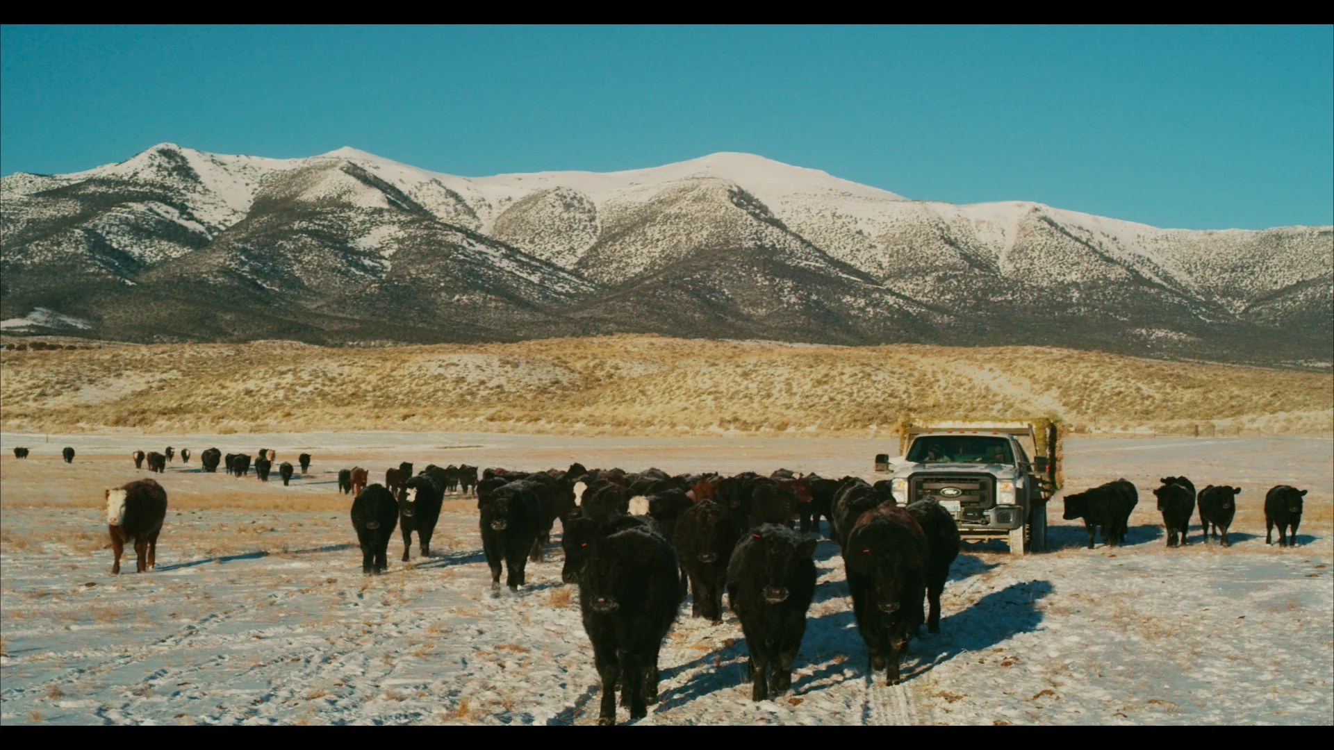 The Great Basin - Image 8