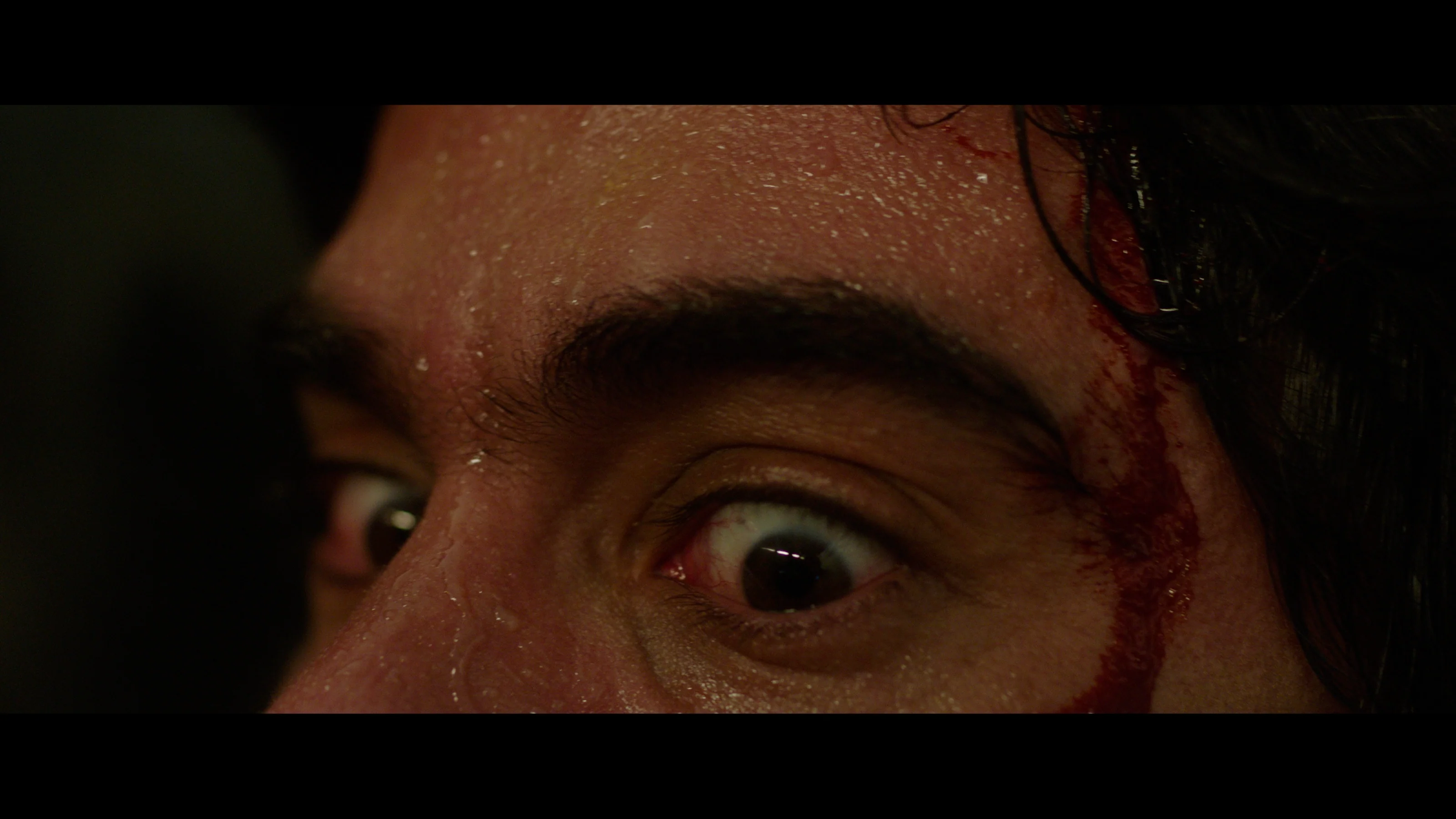 The Last Matinee - Image 4
