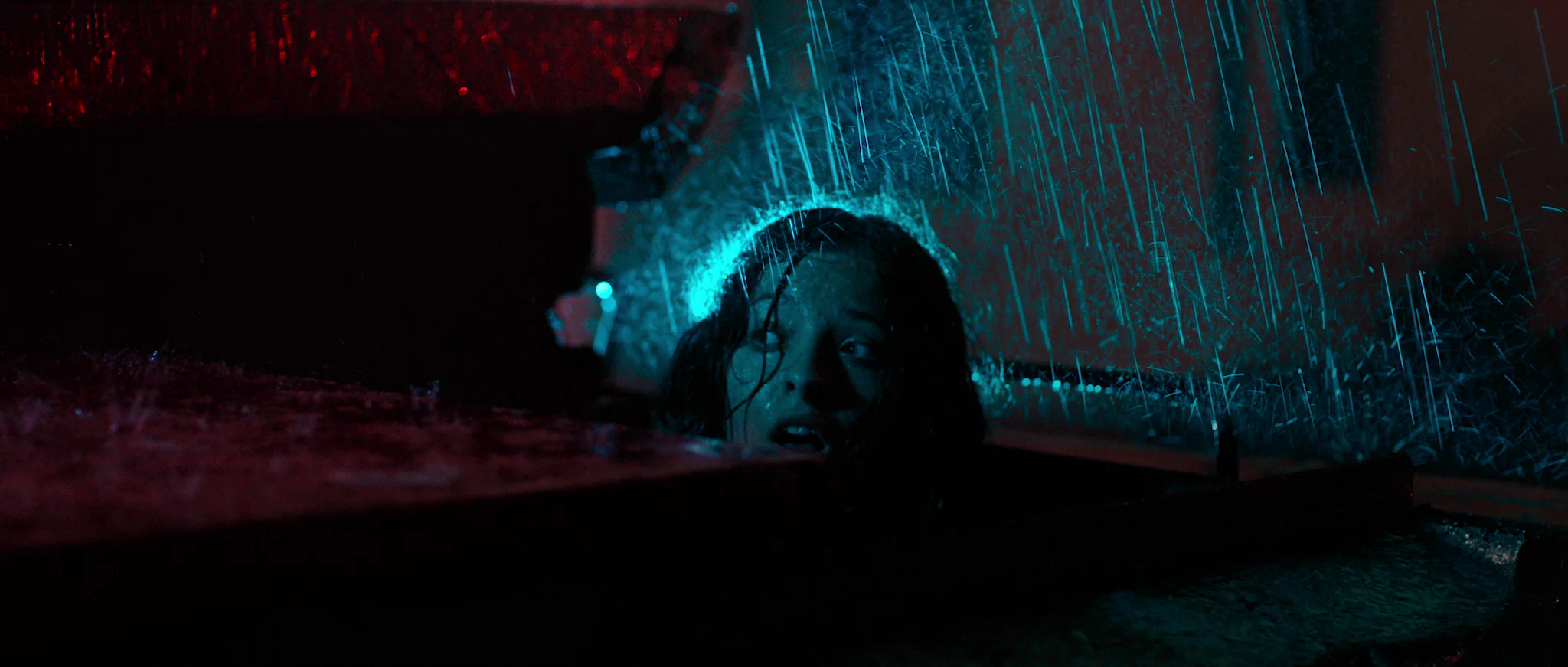 The Last Matinee - Image 8