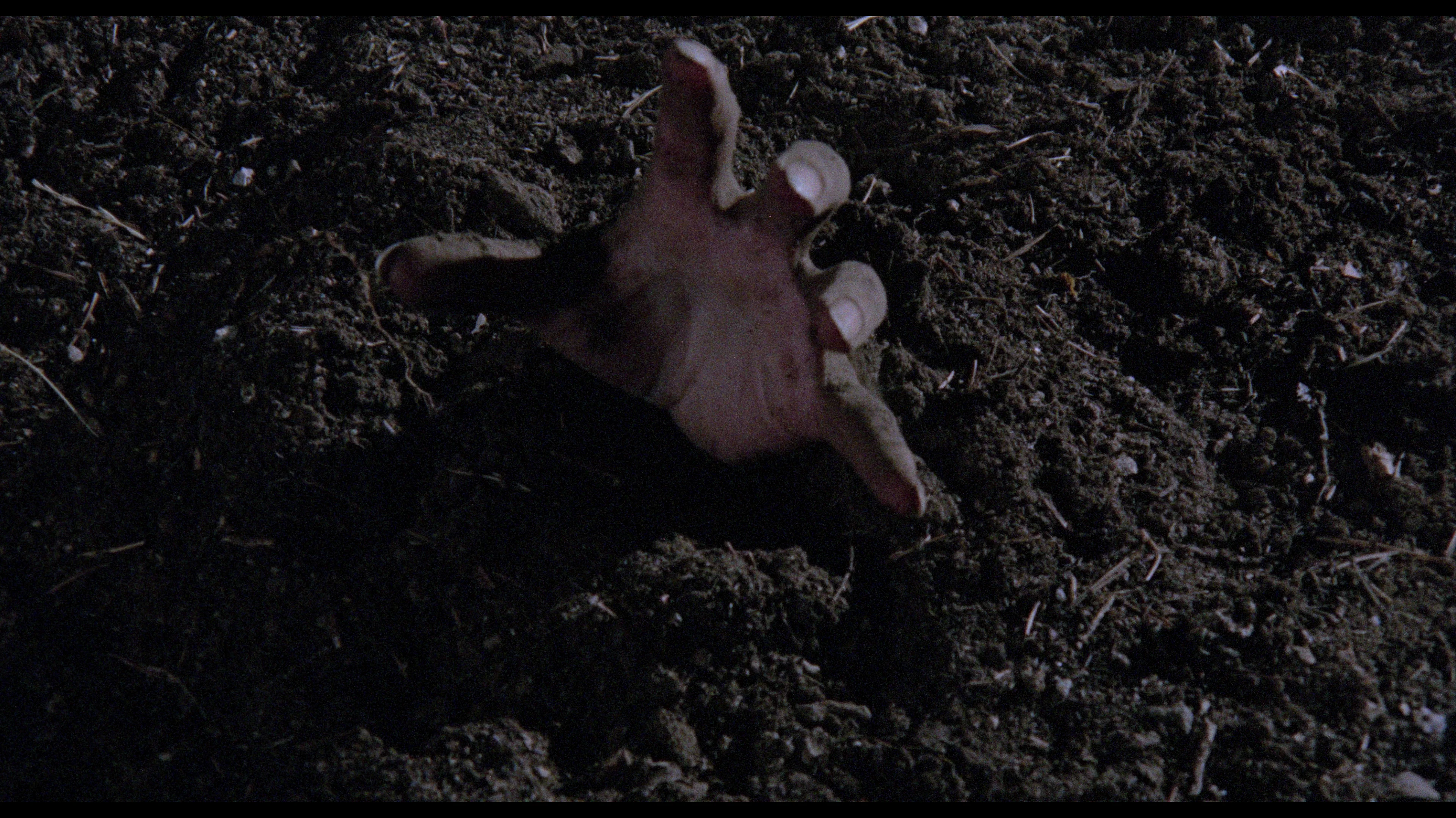 The Werewolf Versus The Vampire Woman - Image 17